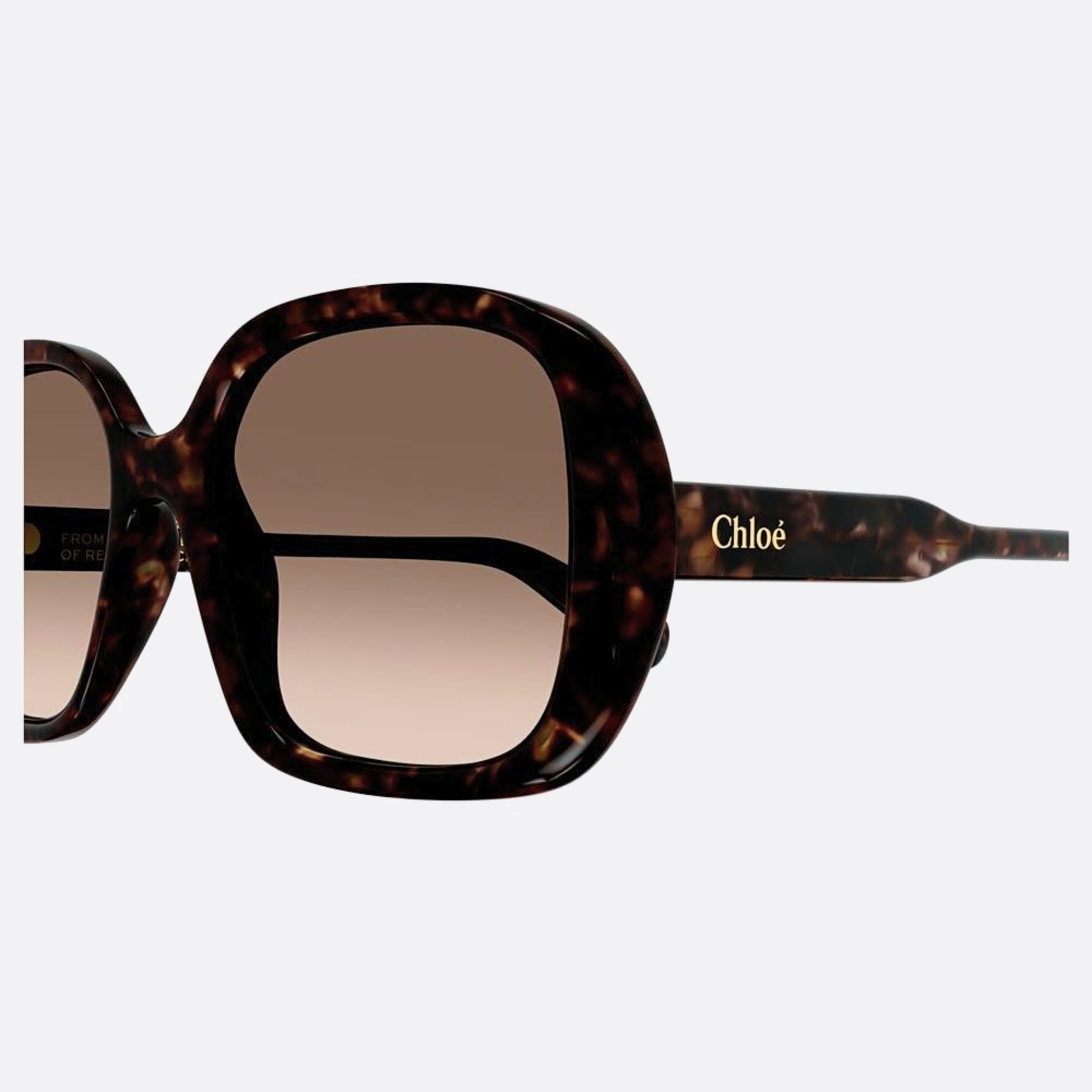 CH0222S 55 Havana