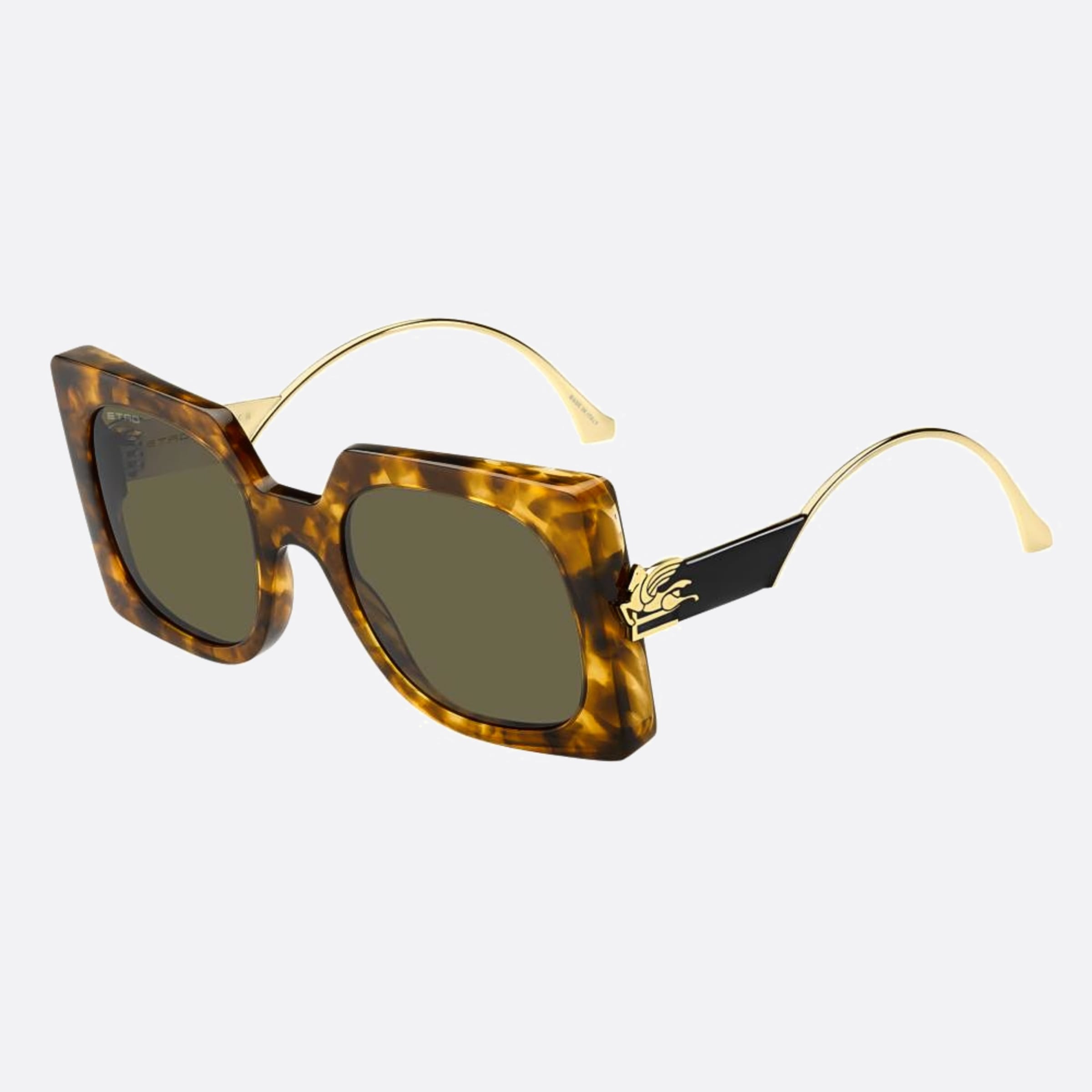 ETRO 0026/S 54 Havana