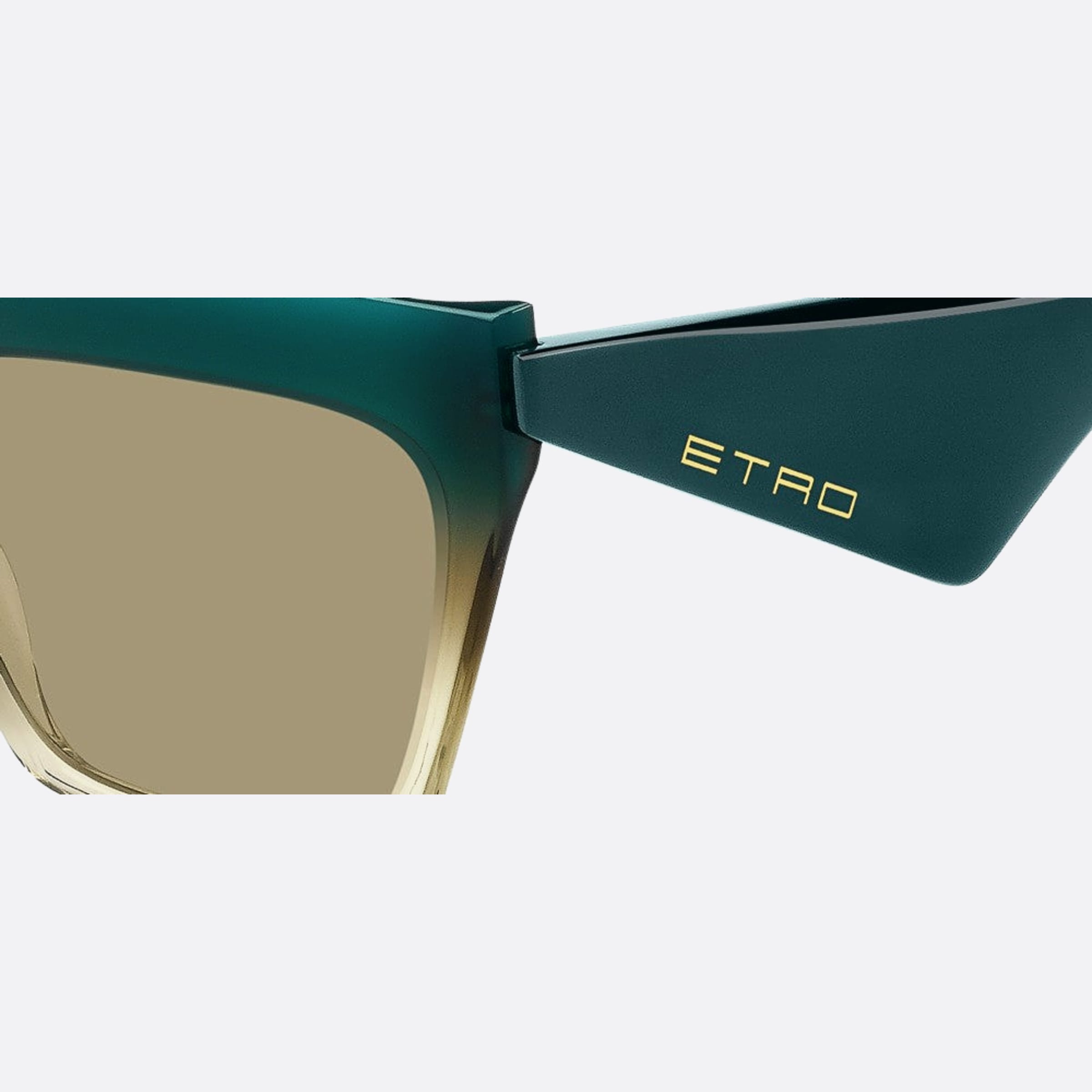 ETRO 0001/S 58 Verde