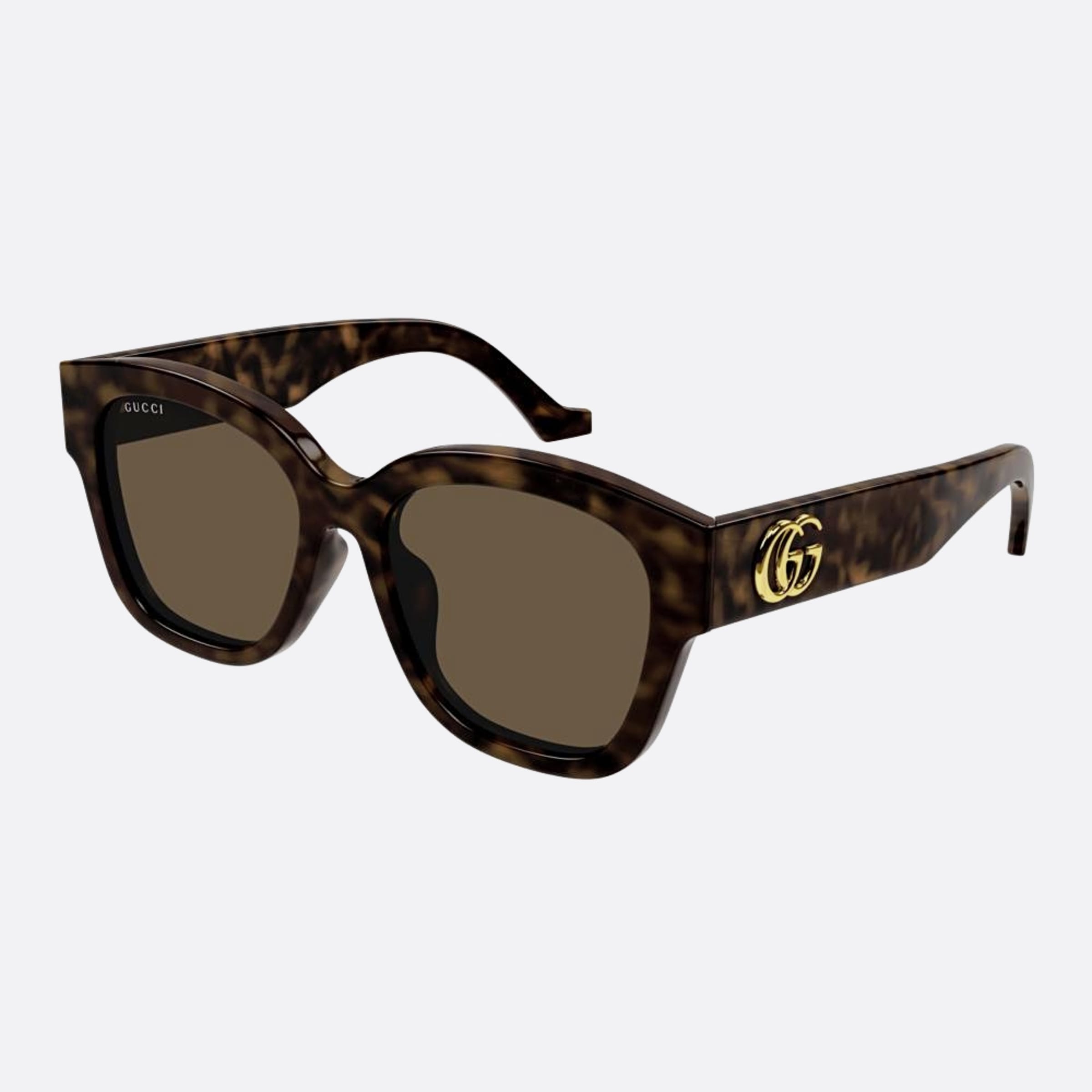 GG1550SK 54 Havana