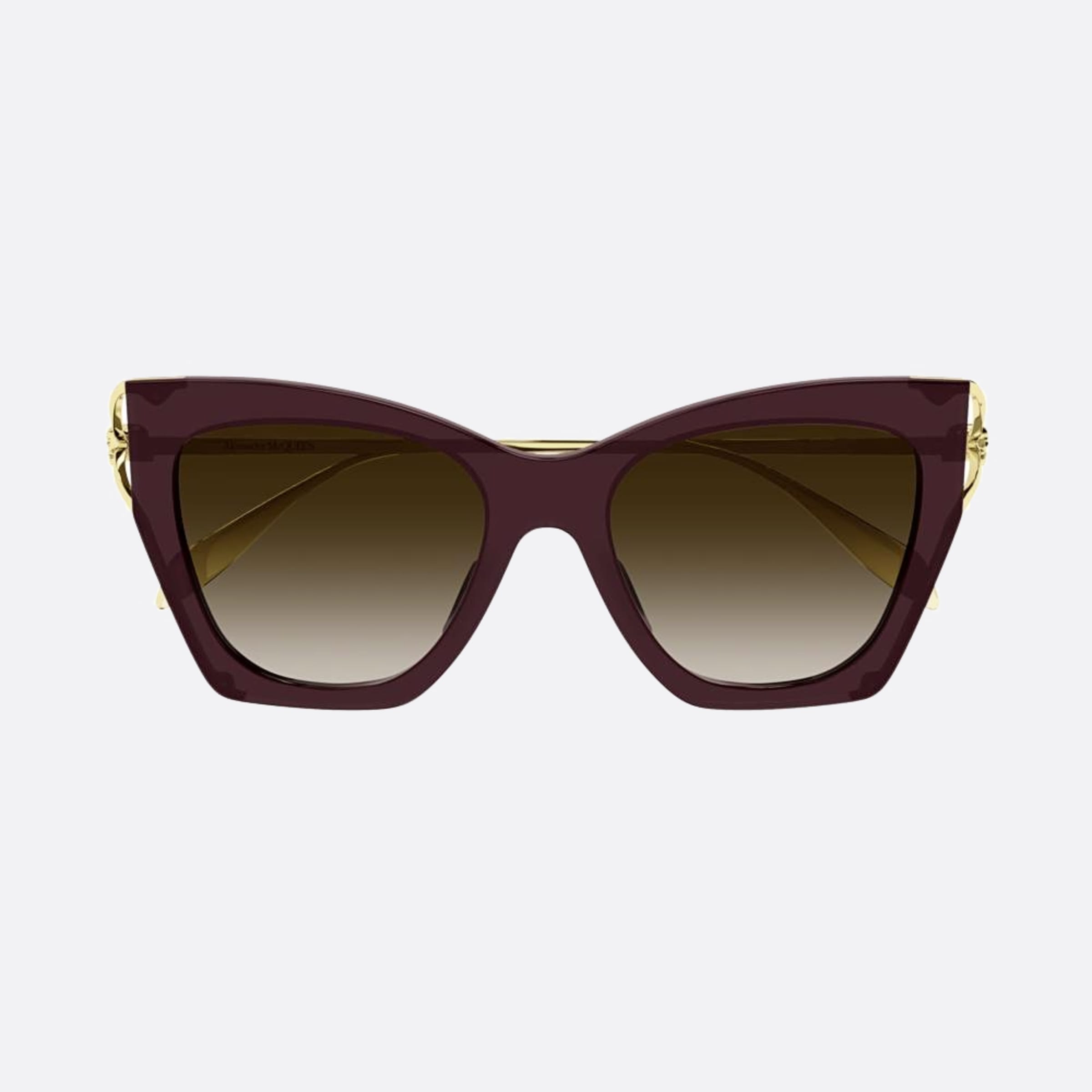 Alexander 53mm Mcqueen Wqm Brown Butterfly Woman Sunglasses - Main View