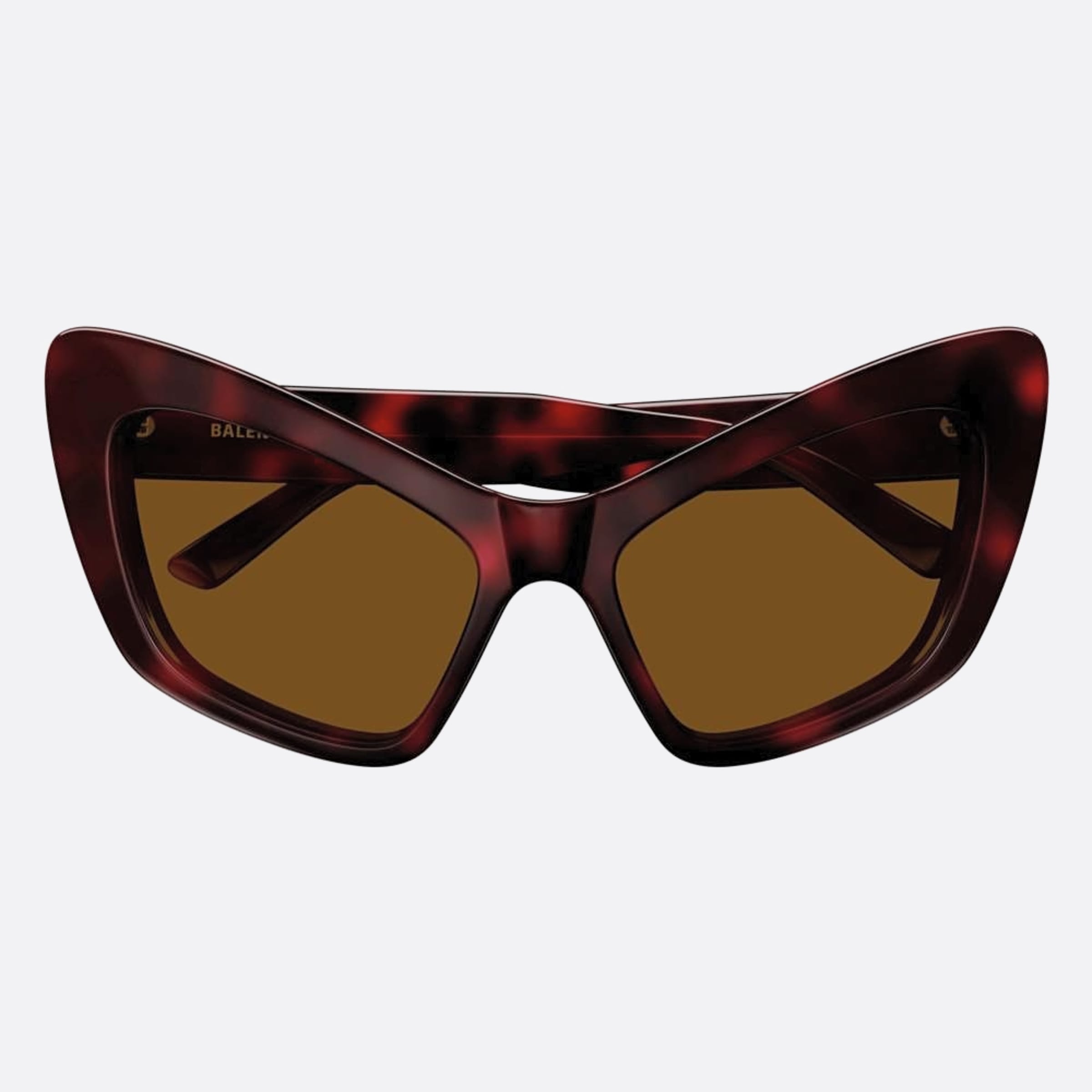 Balenciaga 58mm Havana Cat Eye Woman Sunglasses - Main View