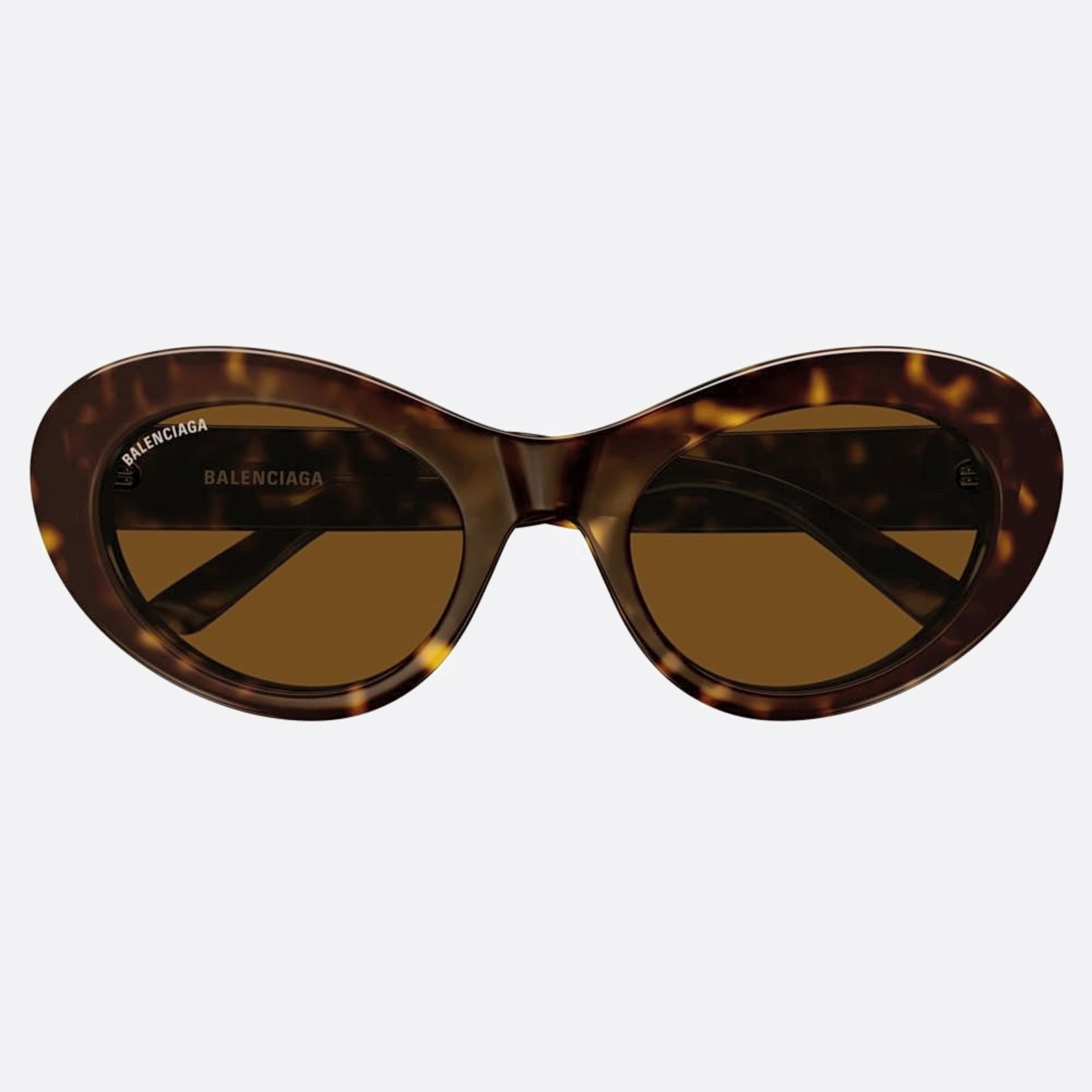 Balenciaga 55mm Havana Oval Woman Sunglasses - Main View