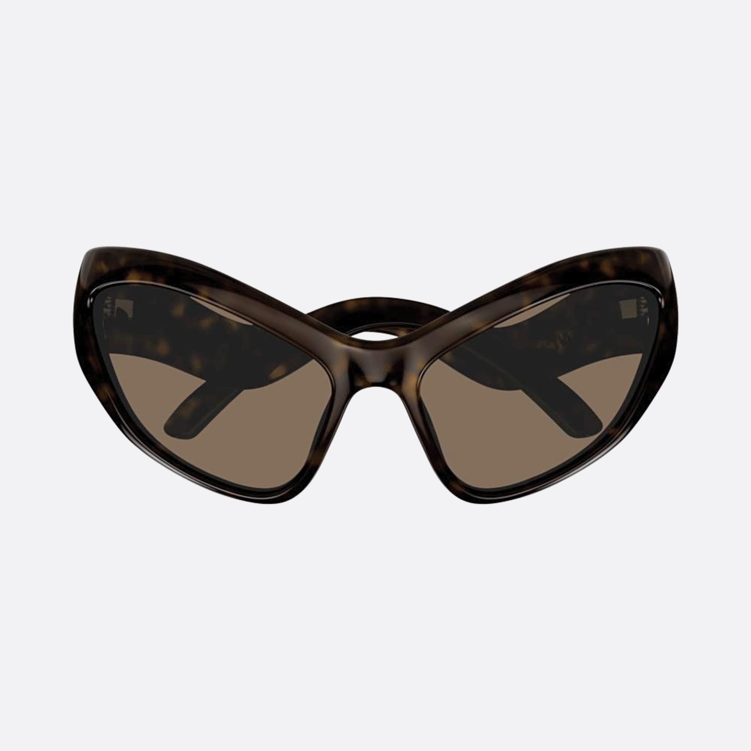Balenciaga 59mm Havana Cat Eye Woman Sunglasses - Main View