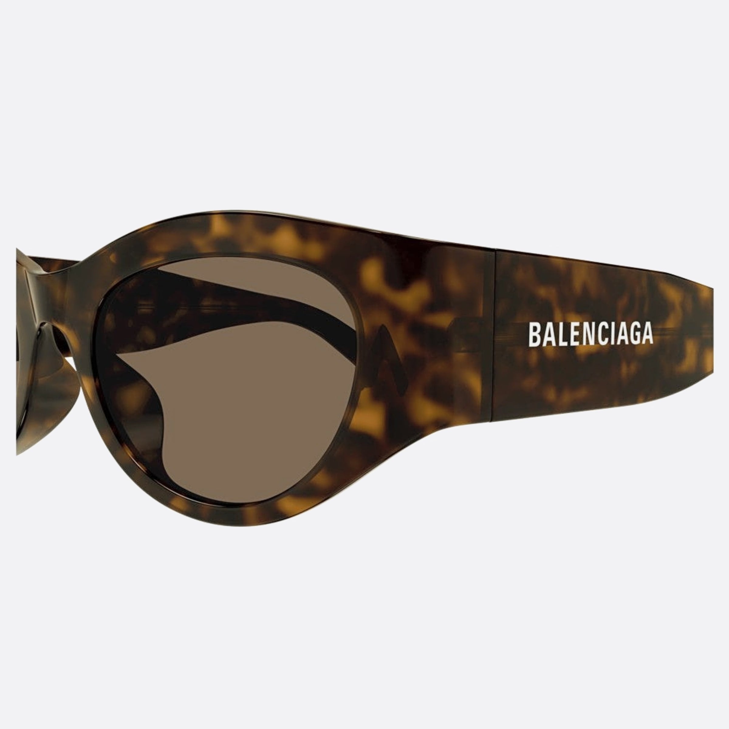 Balenciaga 54mm Bb0330sk Havana Oval Woman Sunglasses - Detail View