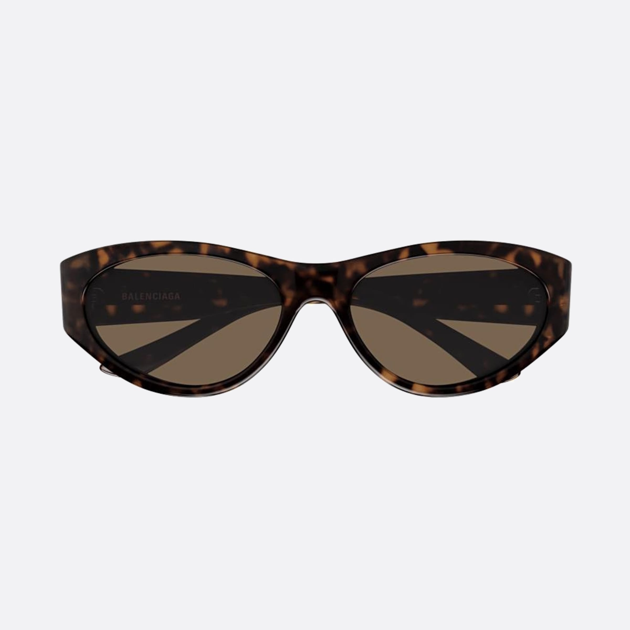 Balenciaga 60mm Havana Round Woman Sunglasses - Main View