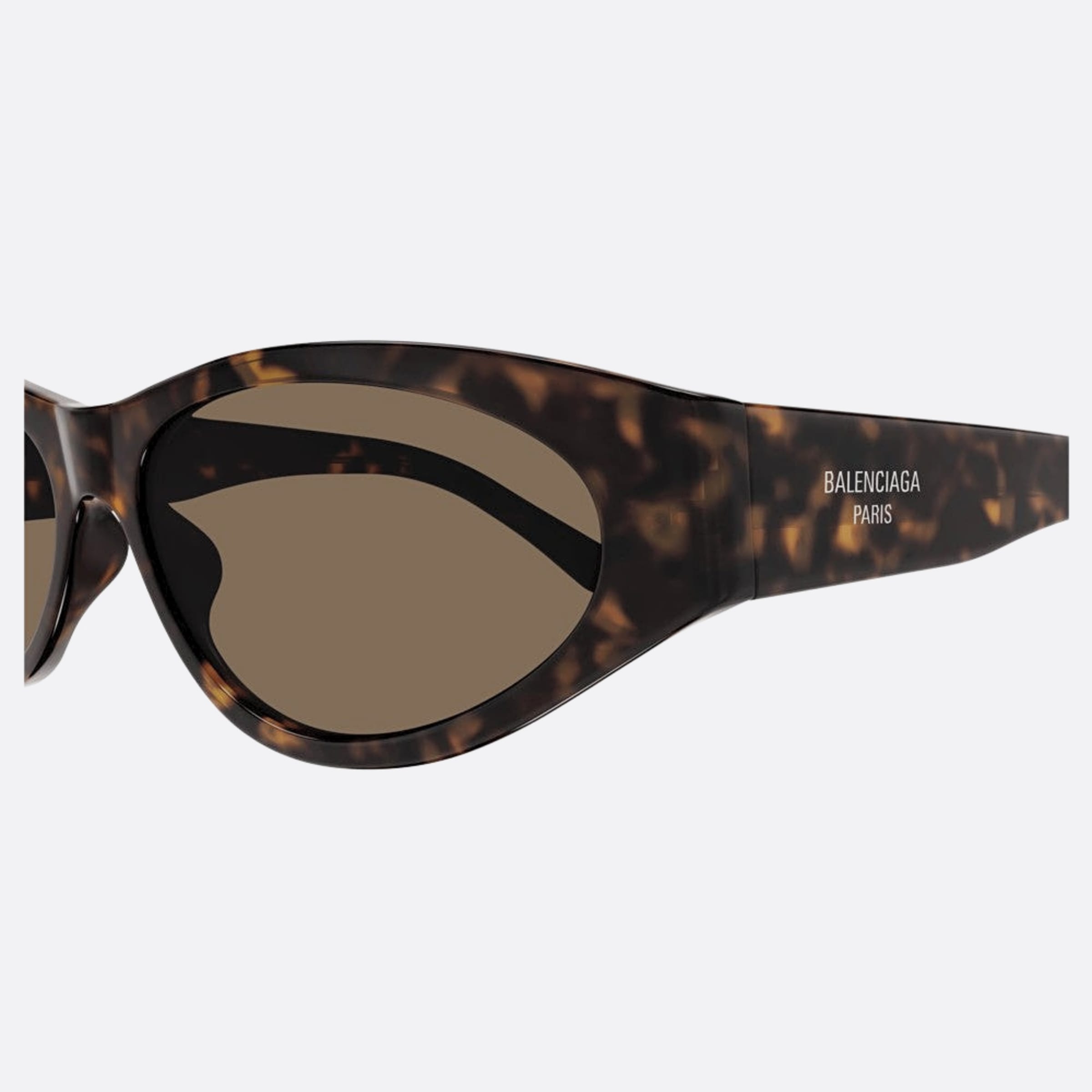 Balenciaga 60mm Havana Round Woman Sunglasses - Detail View