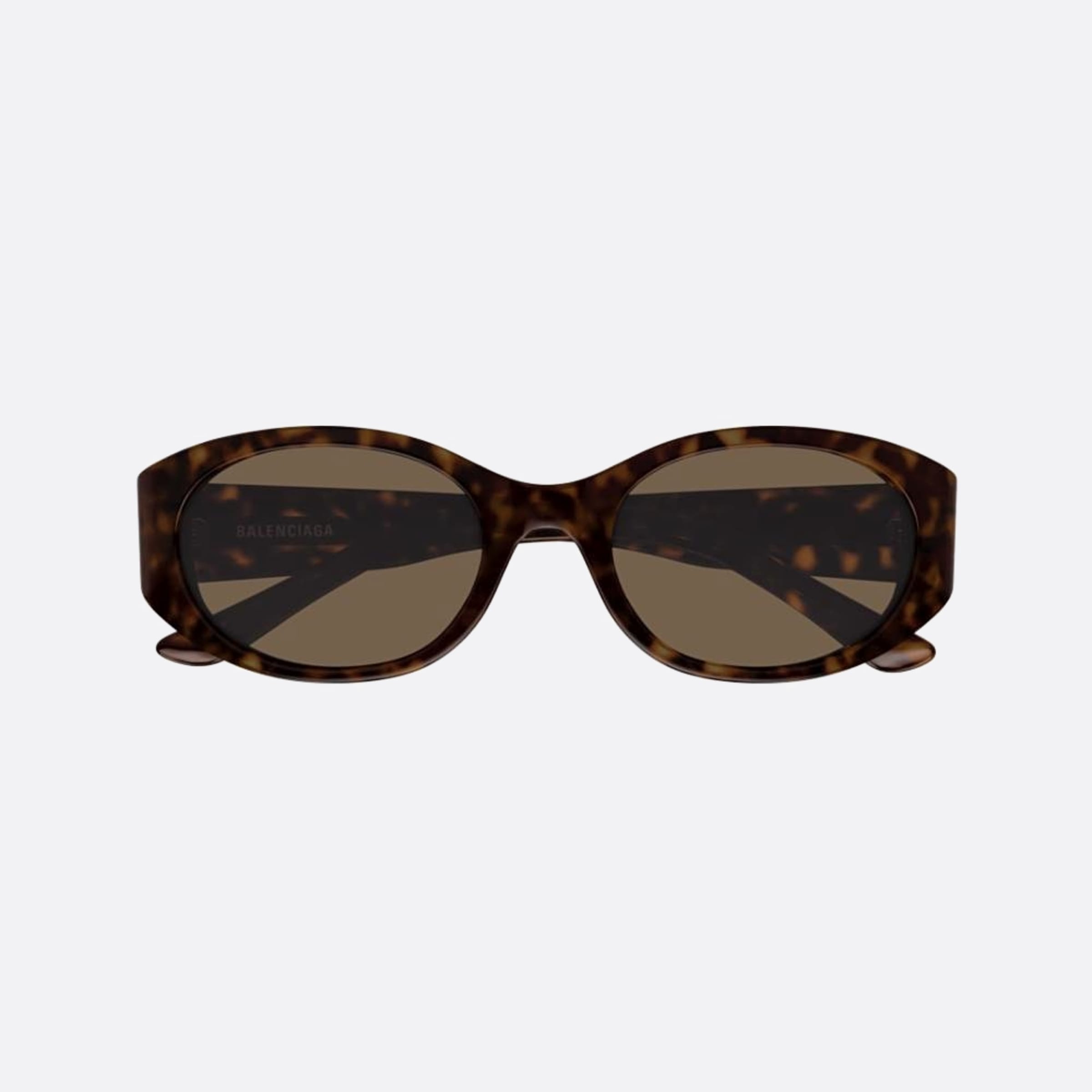 Balenciaga 55mm Hbw Havana Oval Woman Sunglasses - Main View