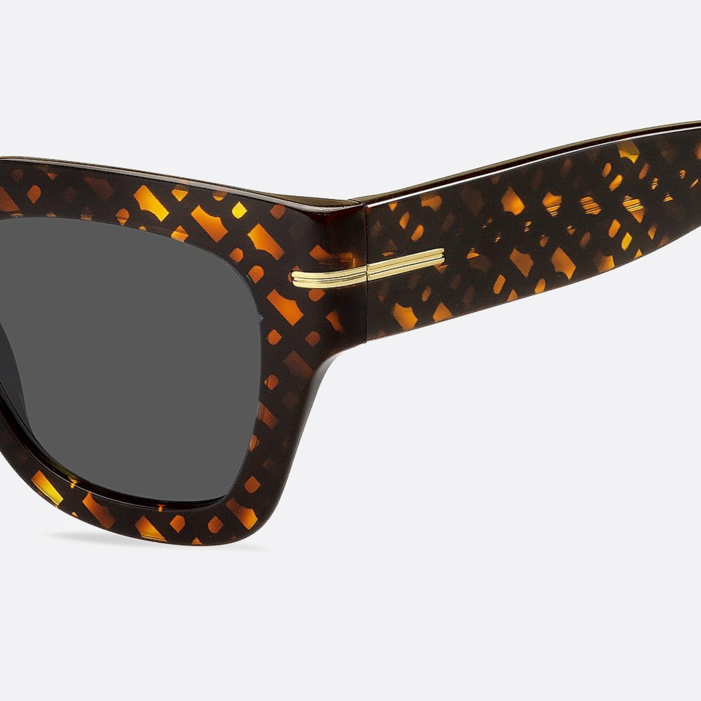 Boss 51mm Boss 2vm Havana Squared Women Sunglasses - Lifestyle Shot