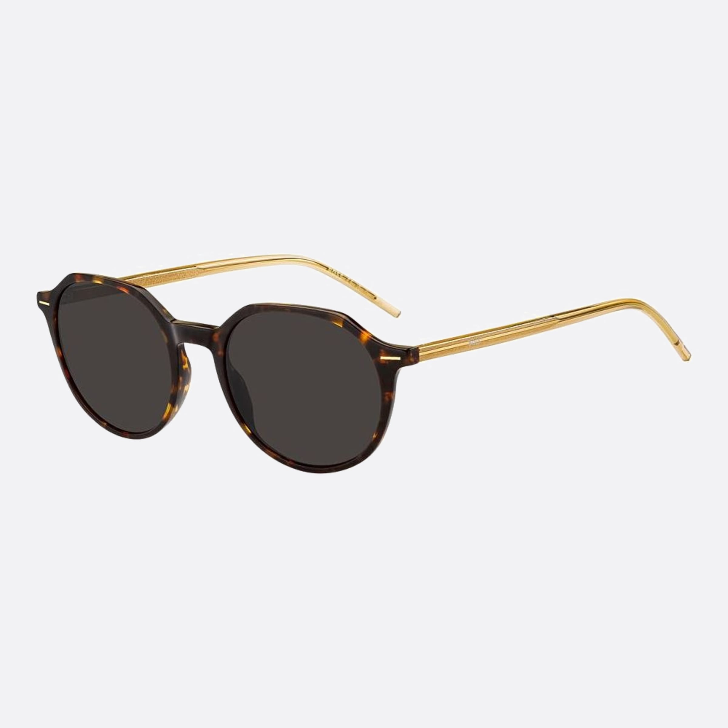 Boss 51mm Boss Hjv Havana Round Women Sunglasses - Side View