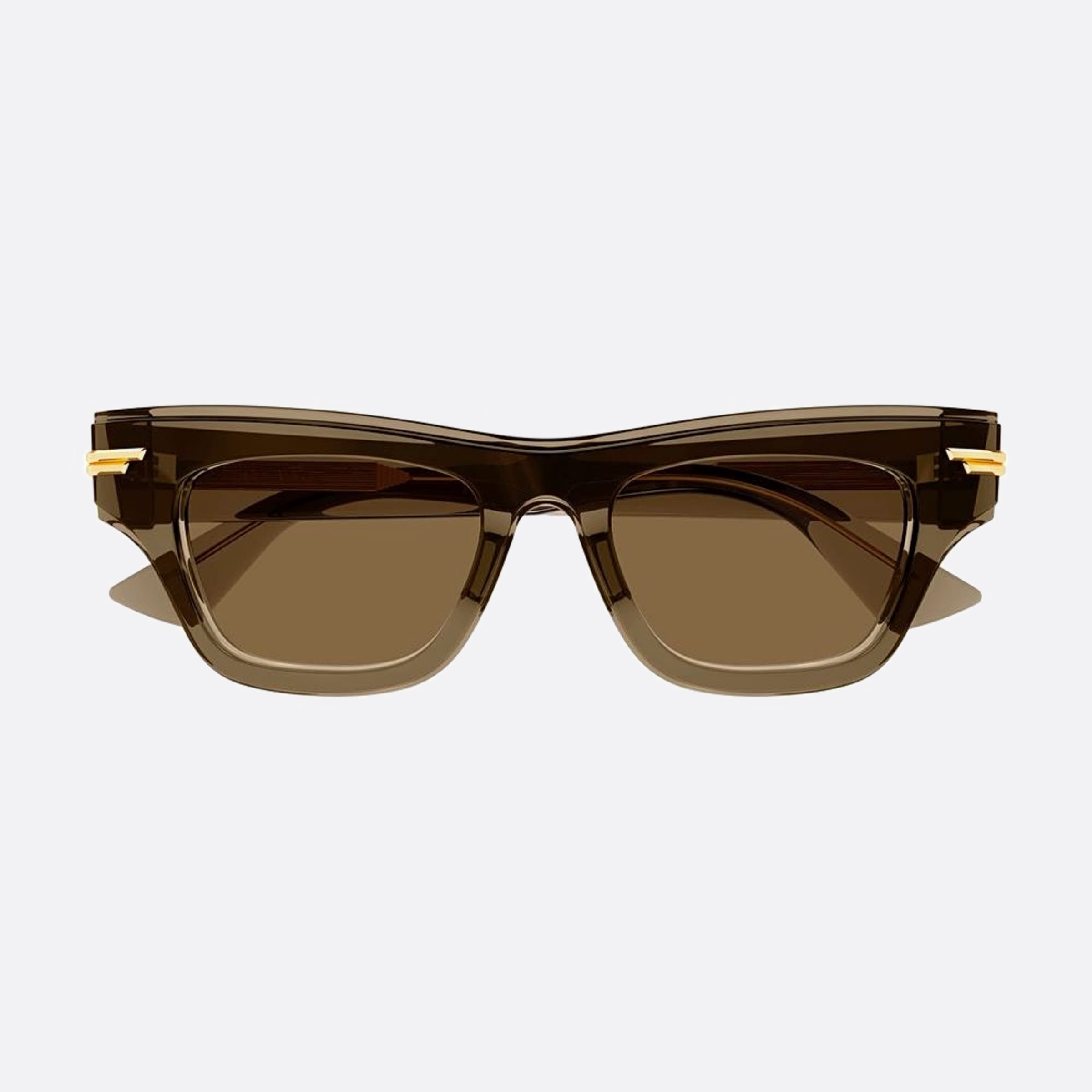 Bottega 51mm Veneta Brown Cat Eye Woman Sunglasses - Main View