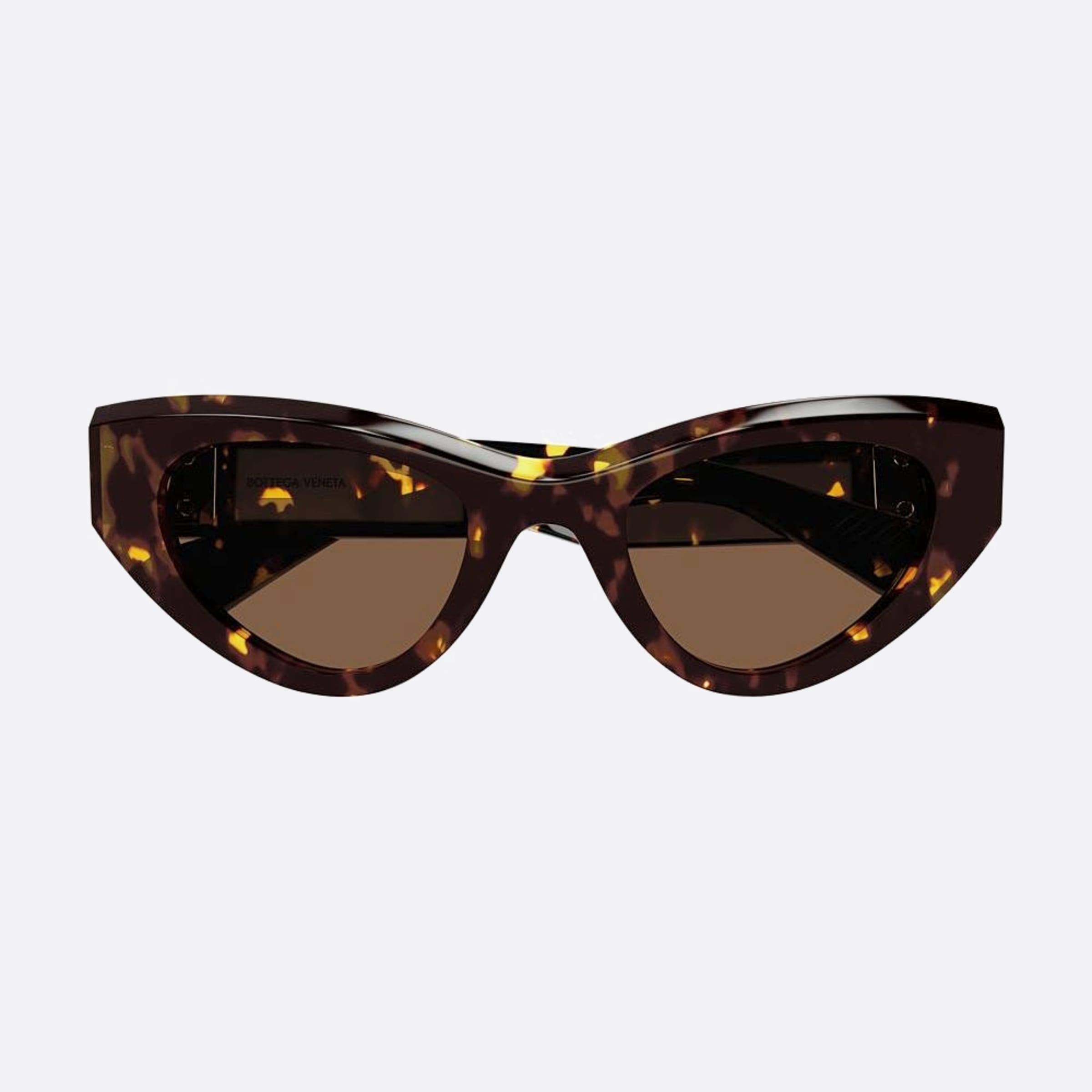 Bottega 49mm Veneta Havana Geometric Woman Sunglasses - Main View