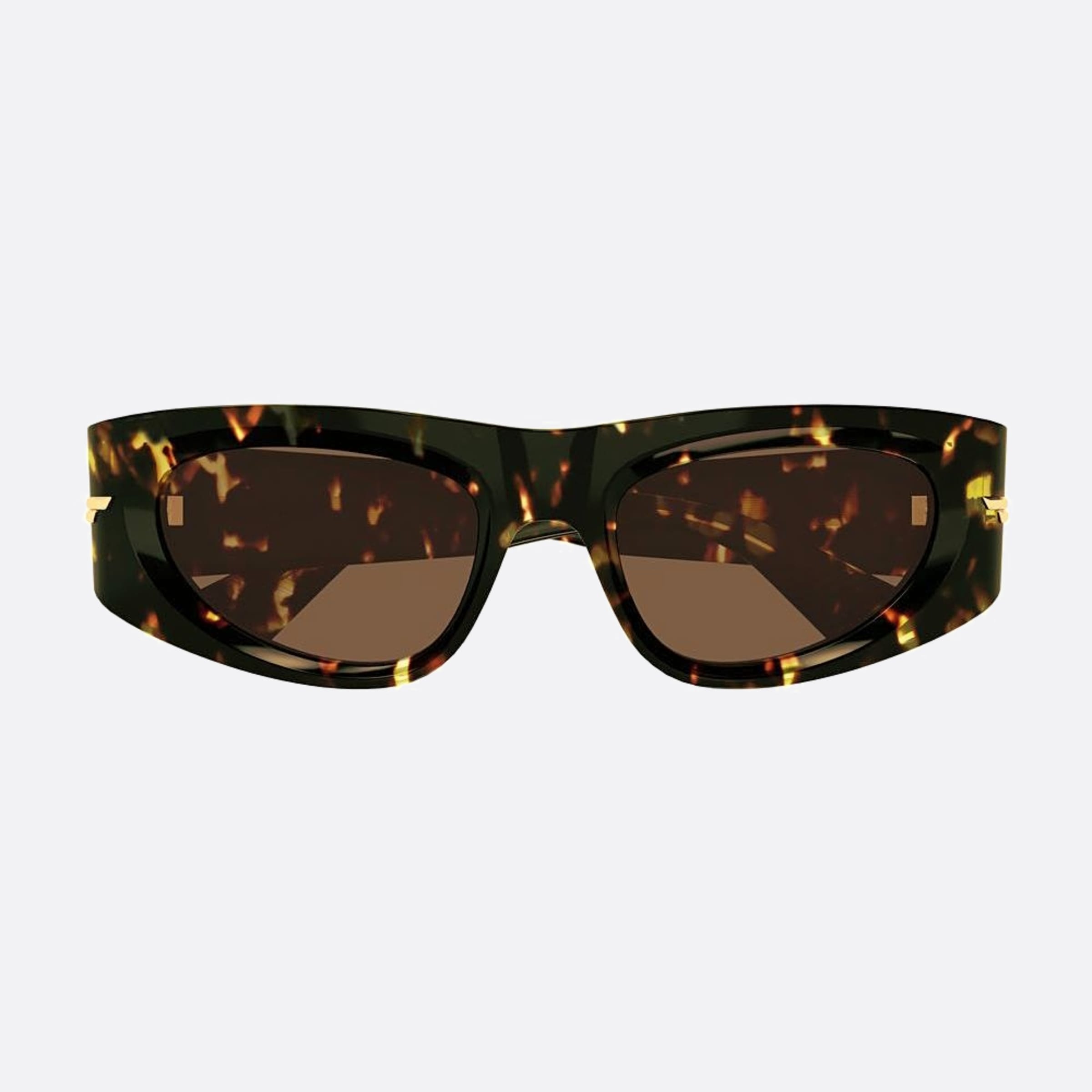 Bottega 51mm Veneta Havana Geometric Women Sunglasses - Main View