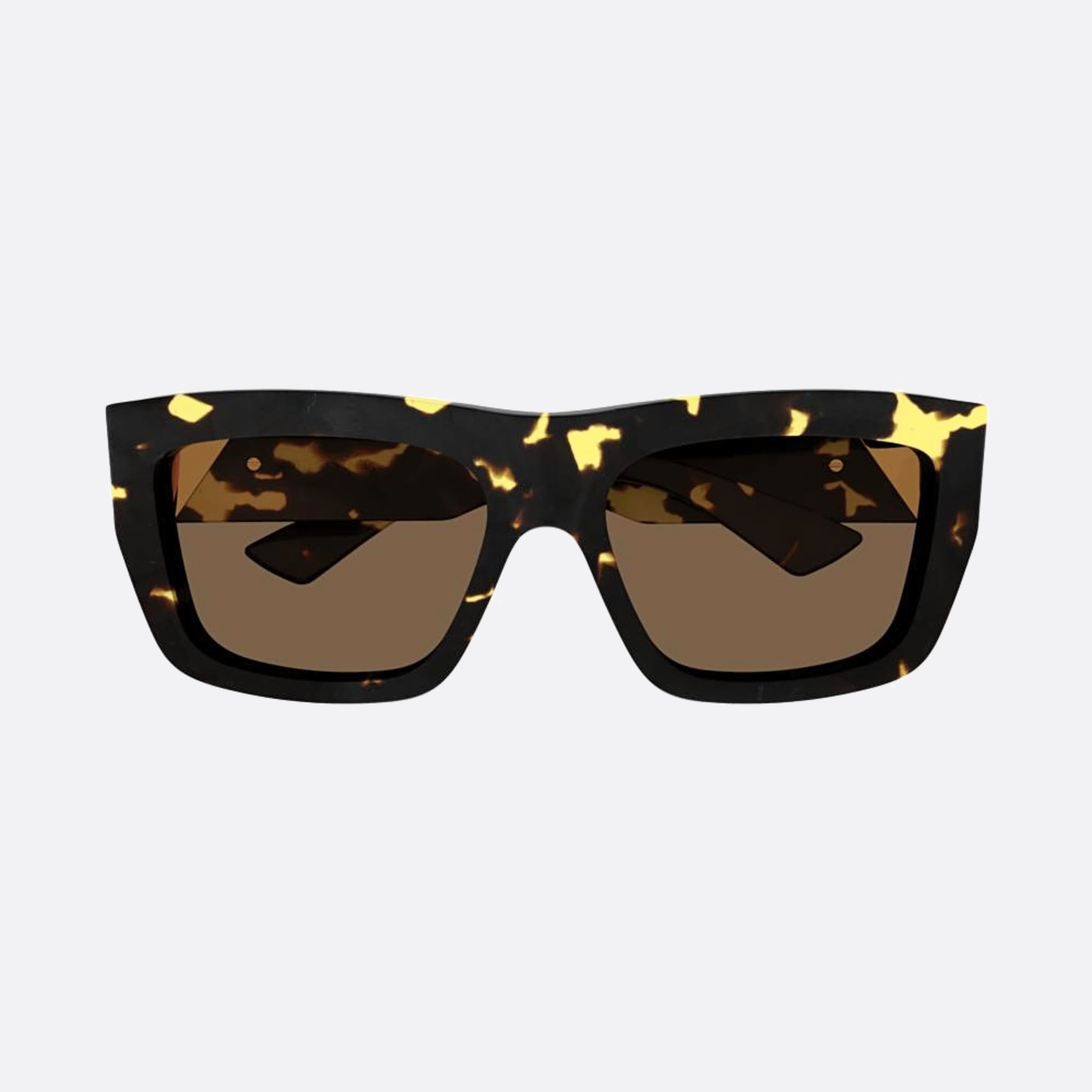 Bottega 57mm Veneta Havana Geometric Woman Sunglasses - Main View