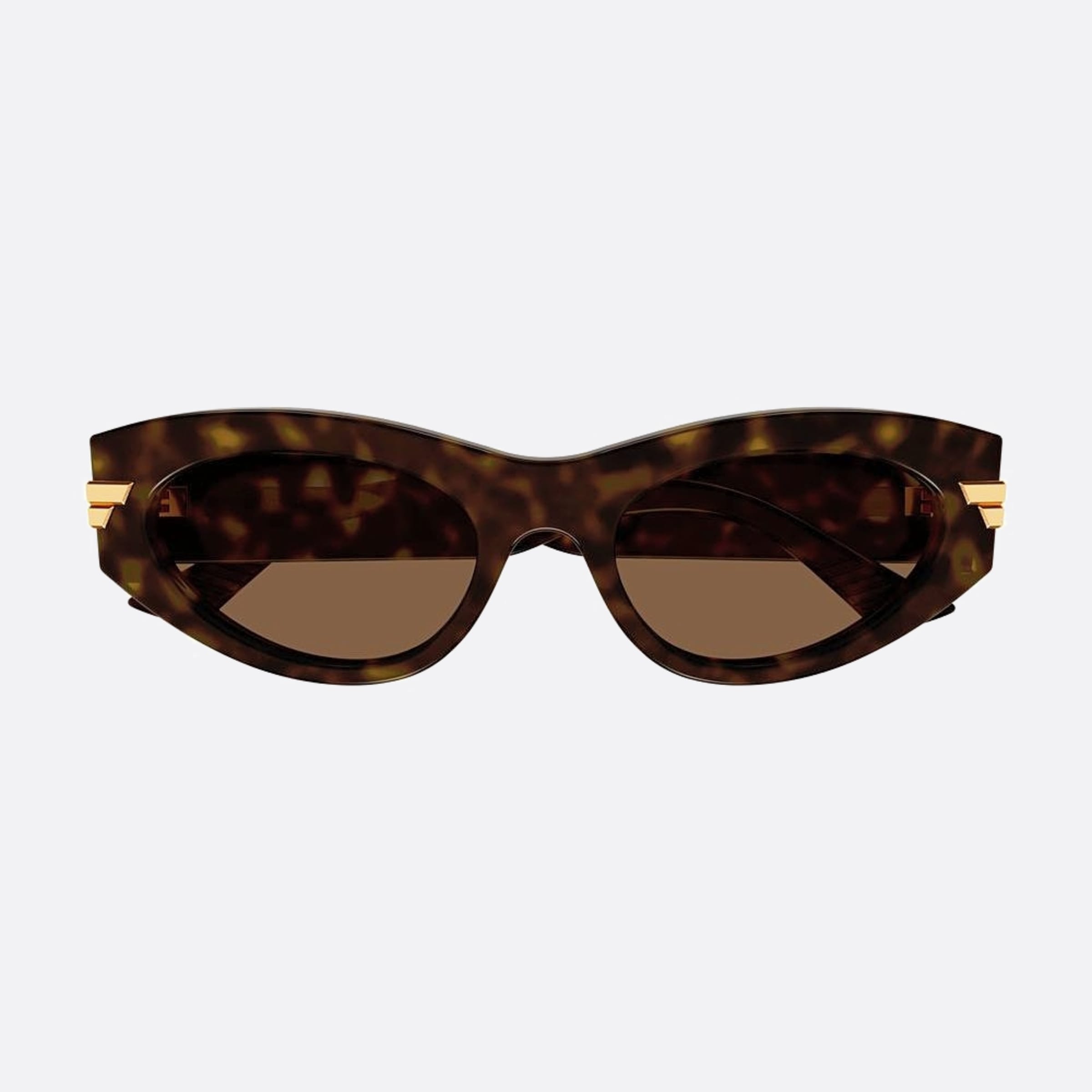 Bottega 53mm Veneta Havana Cat Eye Woman Sunglasses - Main View