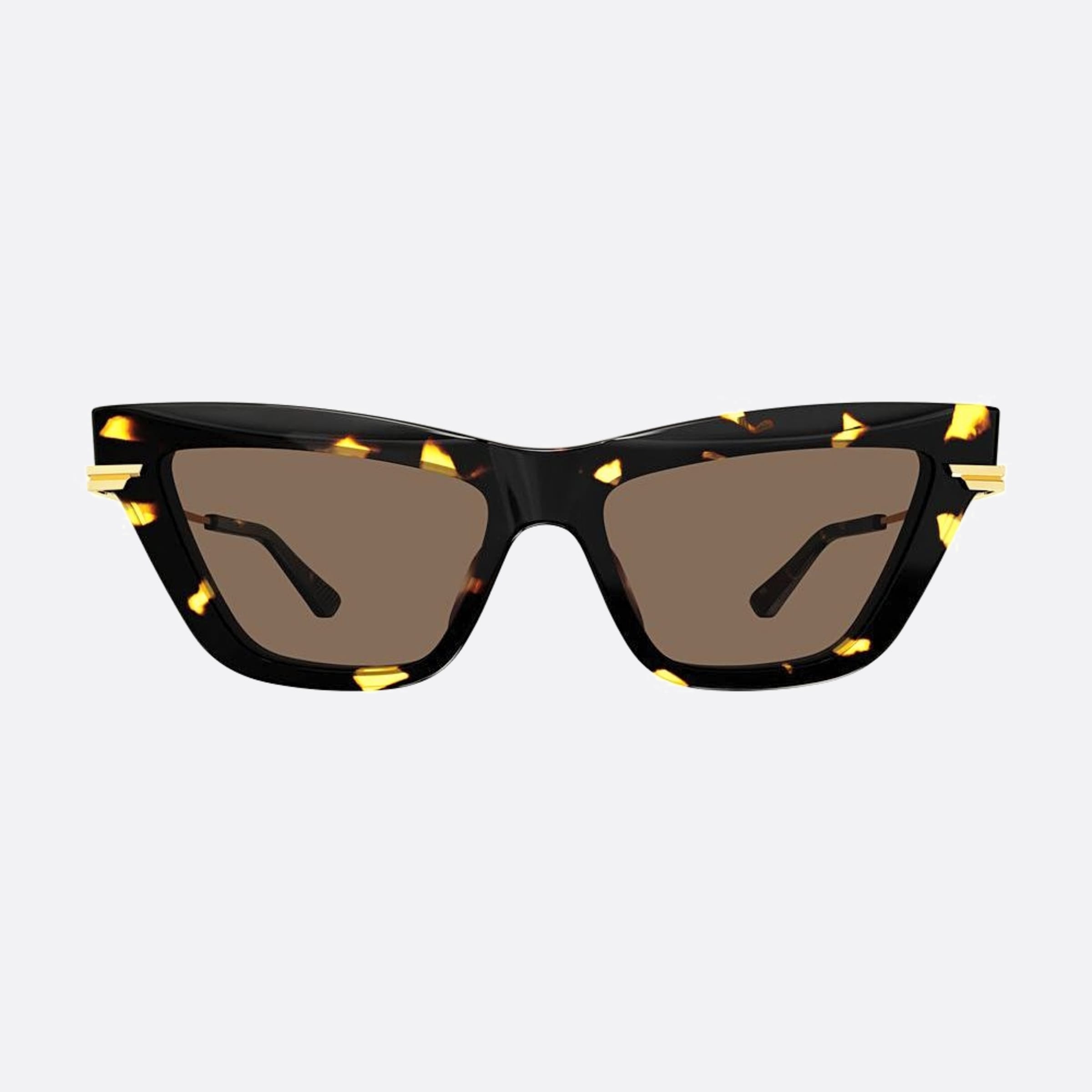 Bottega 54mm Veneta Havana Cat Eye Woman Sunglasses - Main View