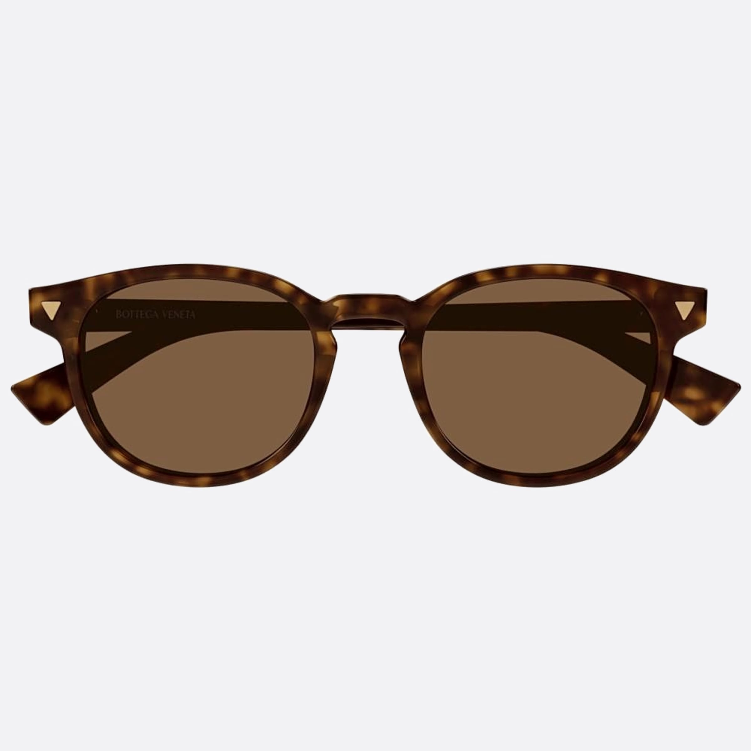 Bottega 50mm Veneta Havana Round Man Sunglasses - Main View