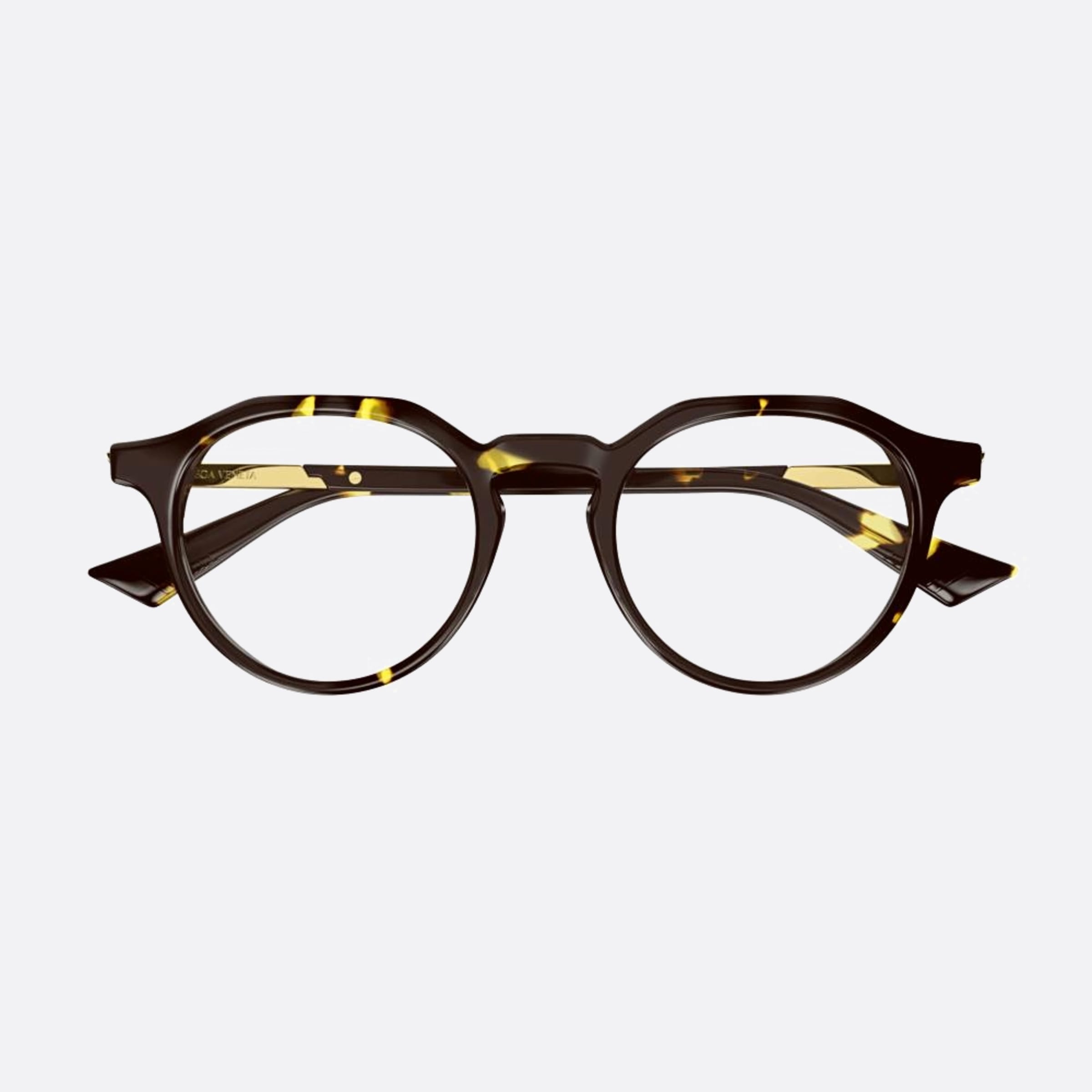 Bottega 48mm Veneta Havana Pantos Man Eyeglasses - Main View