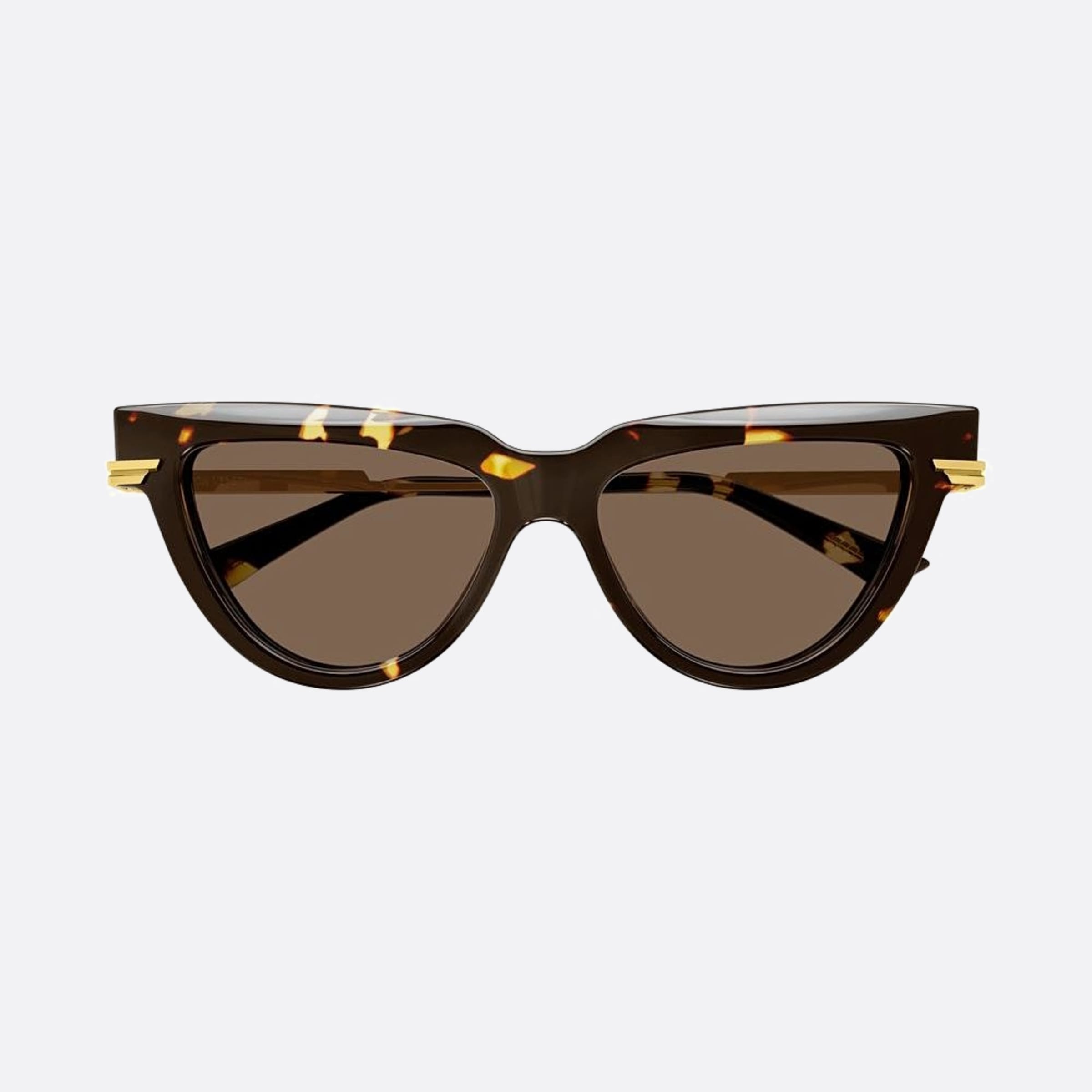 Bottega 54mm Veneta Havana Cat Eye Woman Sunglasses - Main View