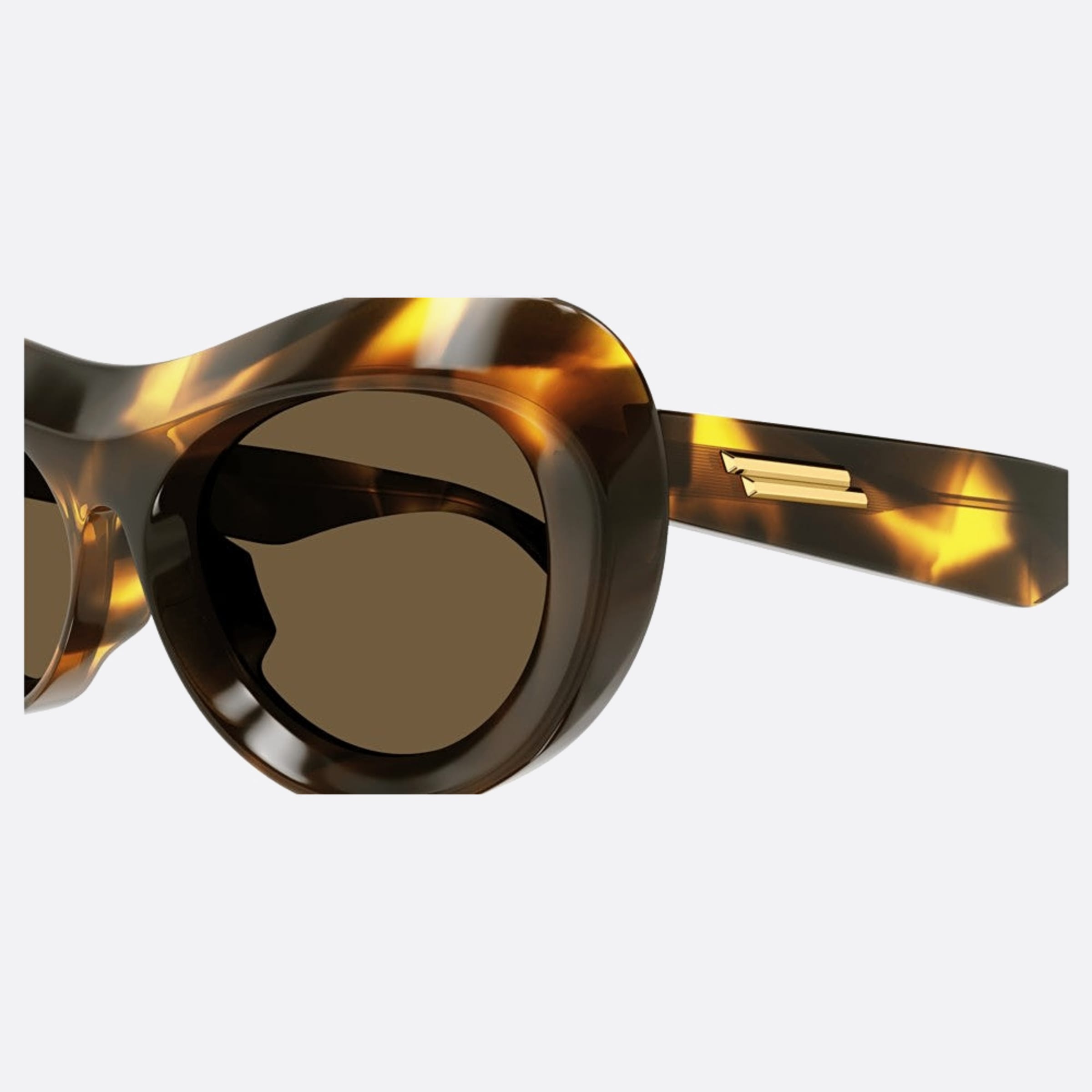 Bottega 54mm Veneta Havana Geometric Woman Sunglasses - Detail View