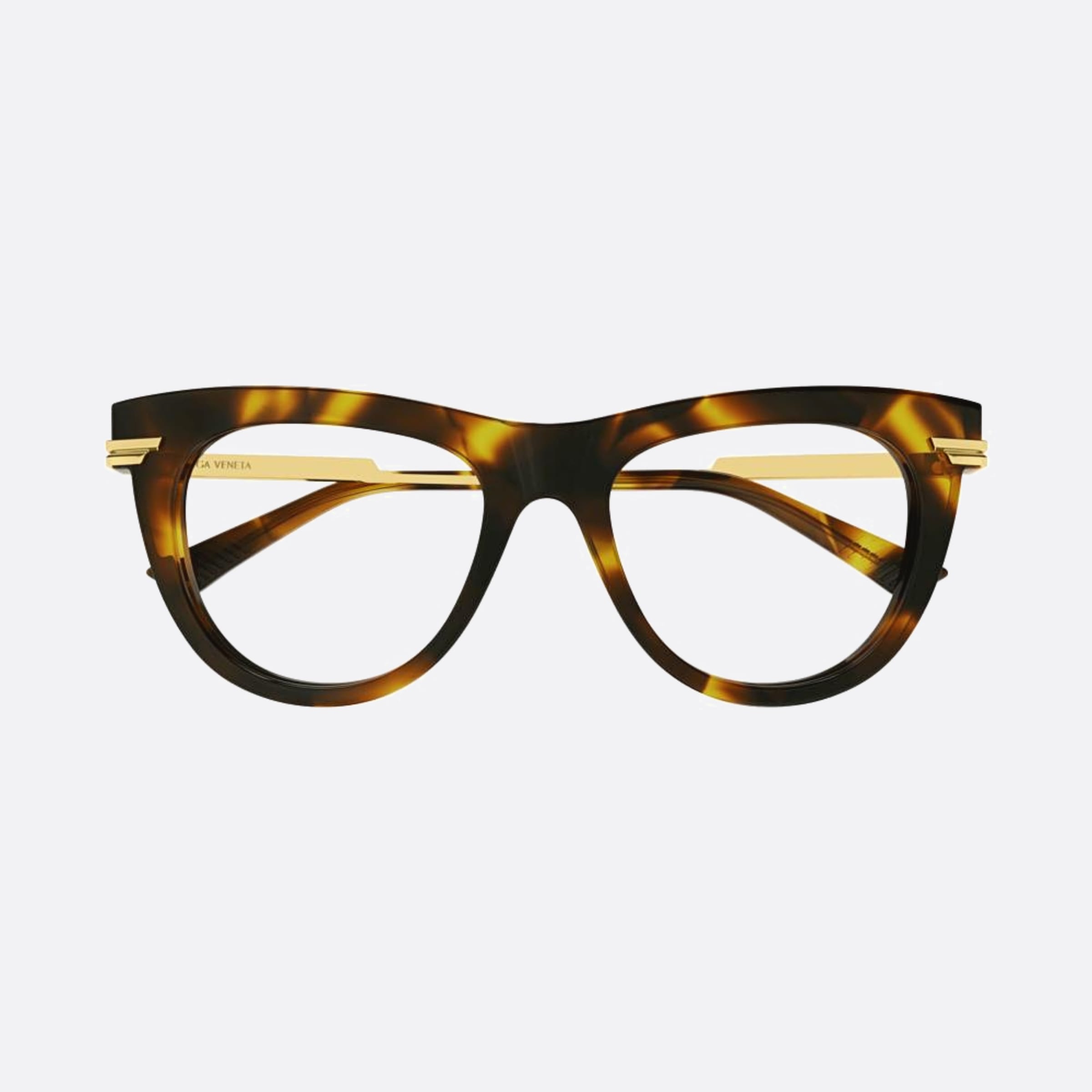 Bottega 51mm Veneta Havana Pantos Woman Eyeglasses - Main View