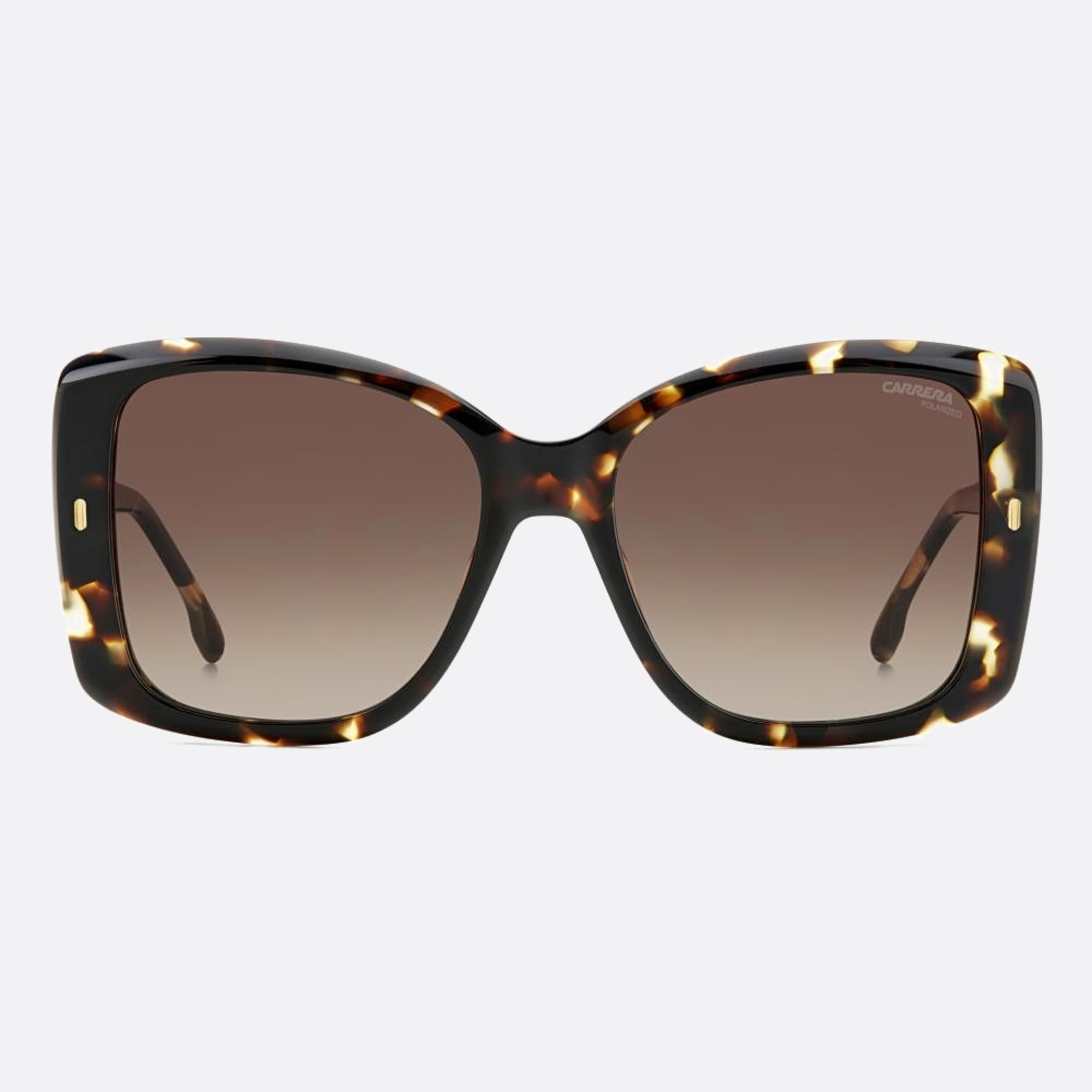 Carrera 56mm Carrera Wr9 Havana Squared Polarized Women Sunglasses - Main View