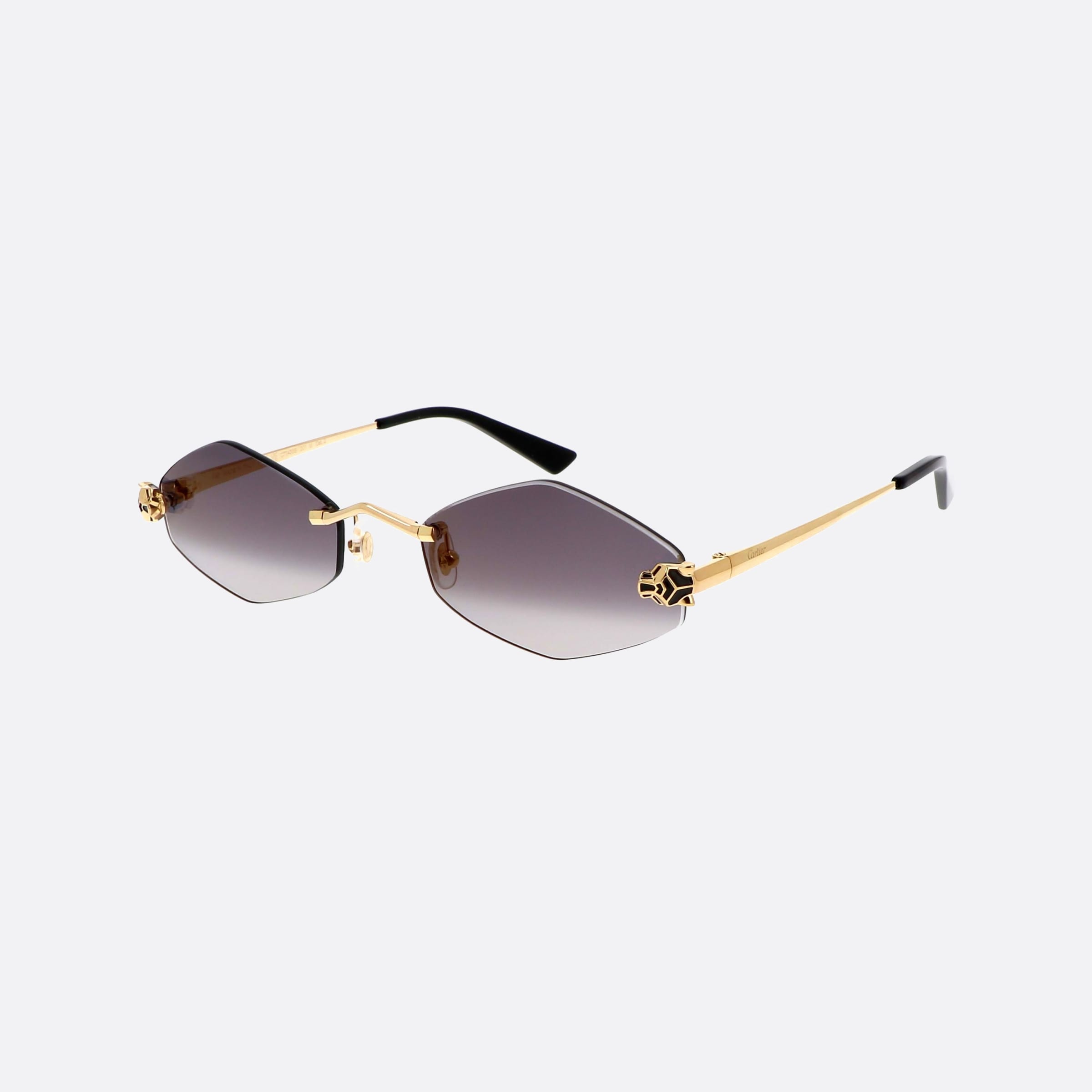 Cartier 55mm Core Range Gold Geometric Polarized Women Sunglasses - Main View