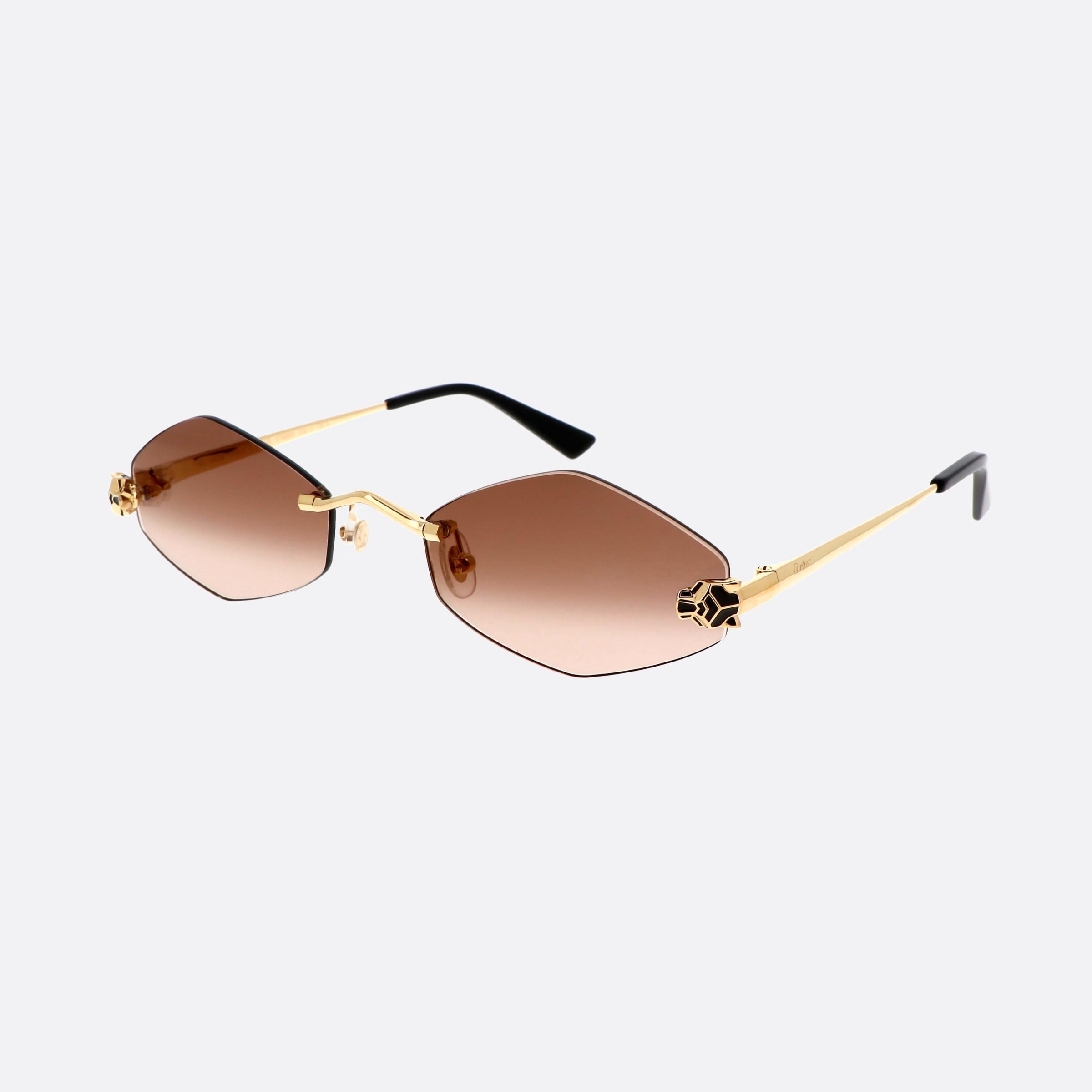 Cartier 55mm Core Range Gold Geometric Polarized Women Sunglasses - Main View