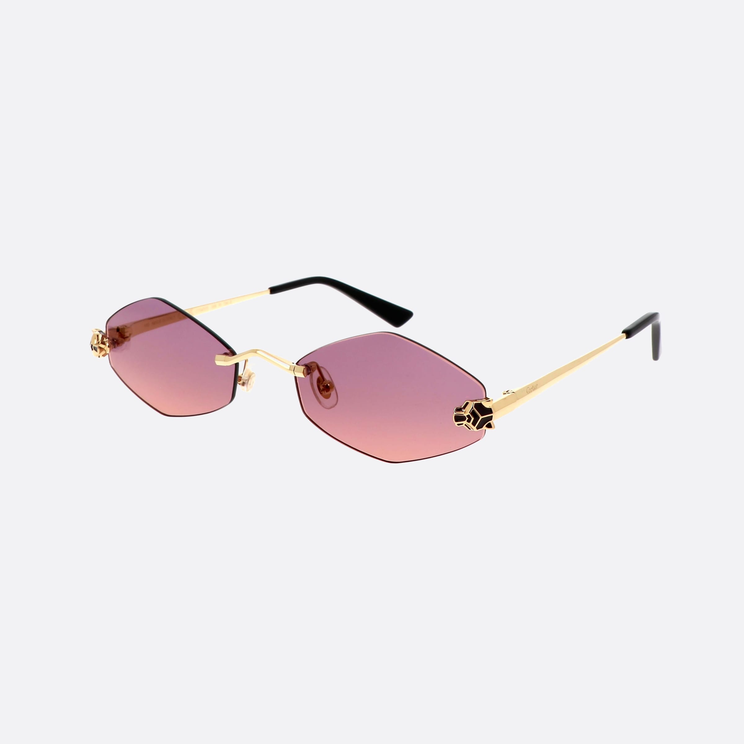 Cartier 55mm Core Range Gold Geometric Polarized Women Sunglasses - Main View