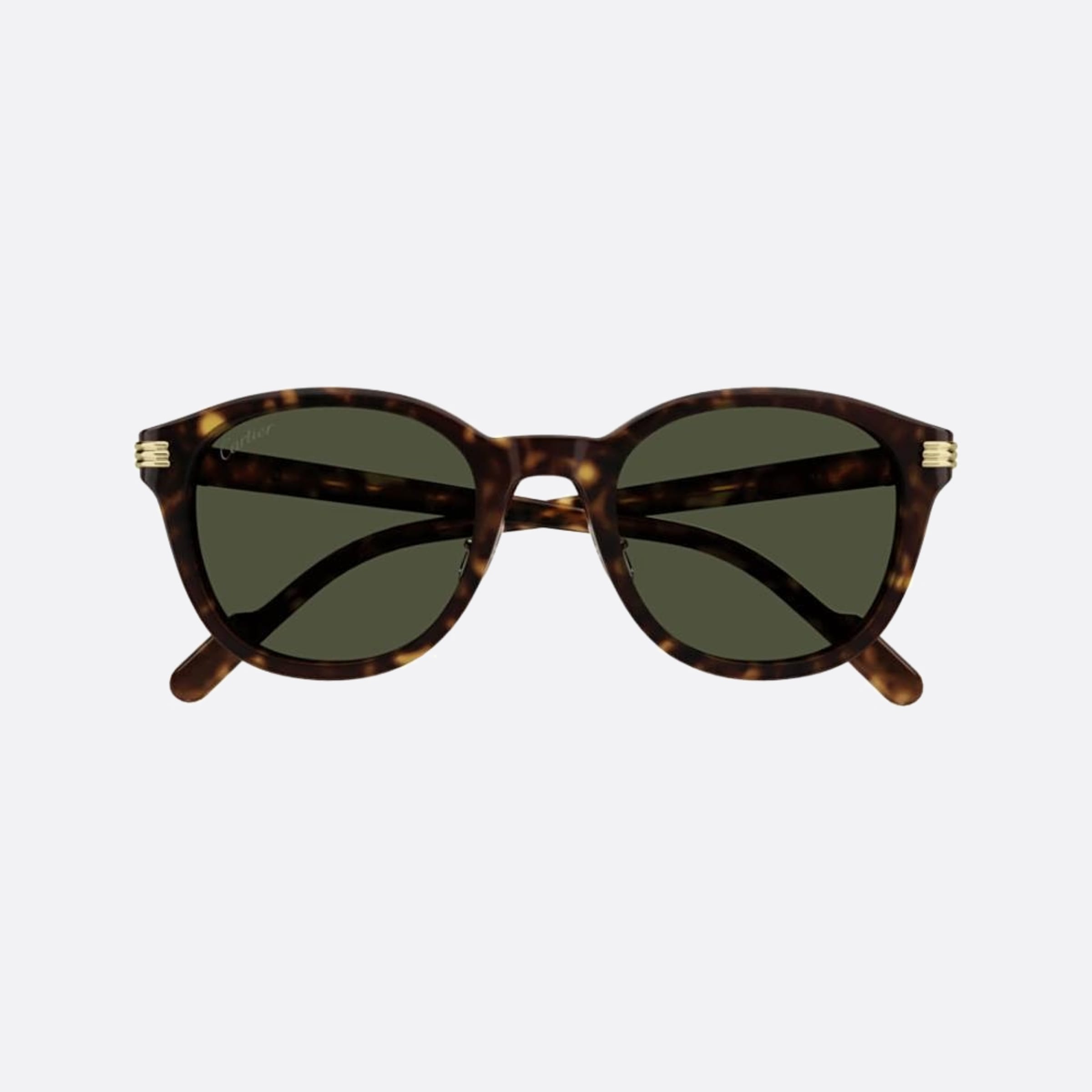 Cartier 53mm Hvgr Havana Pantos Men Sunglasses - Main View