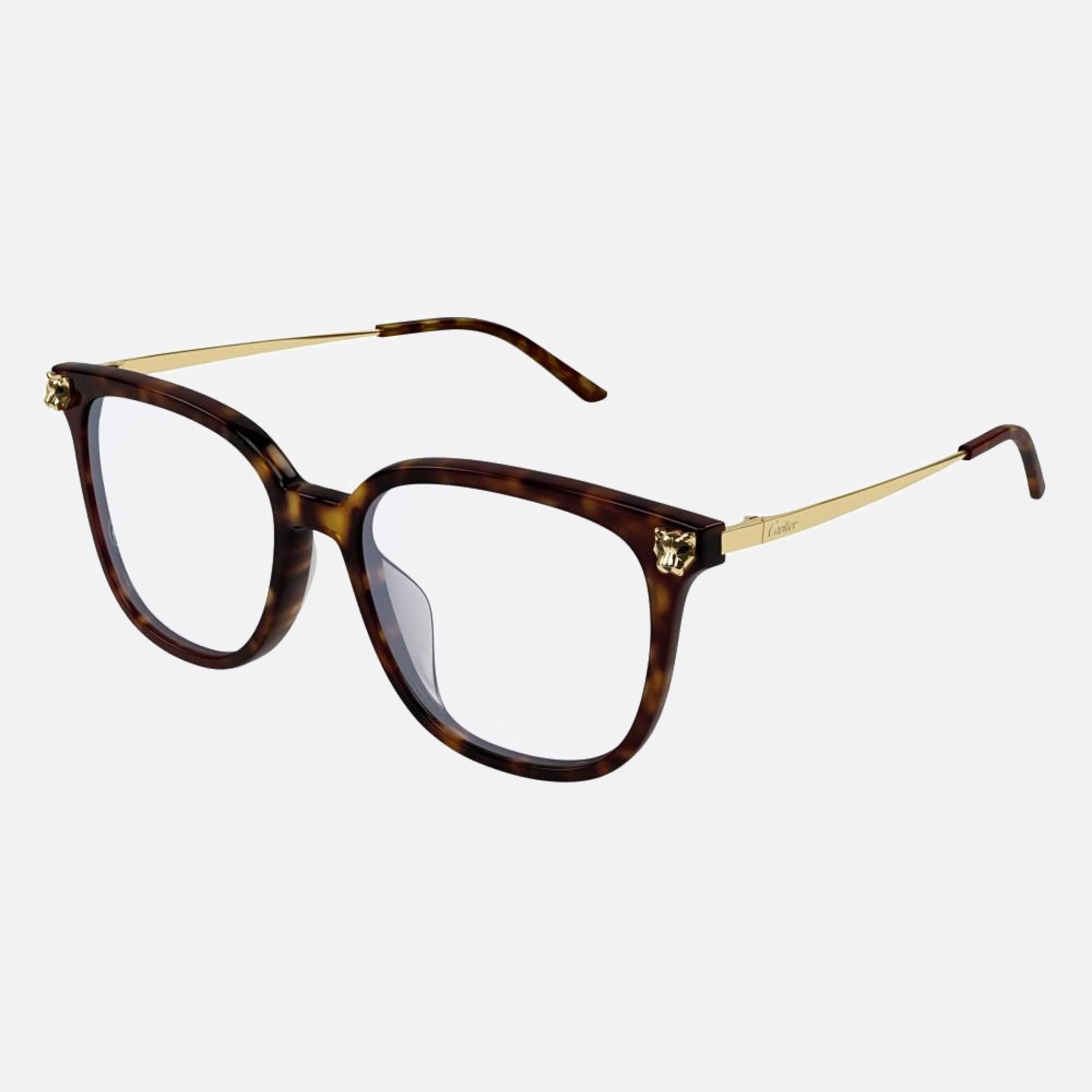 Cartier 53mm Havana Squared Women Eyeglasses - Side View