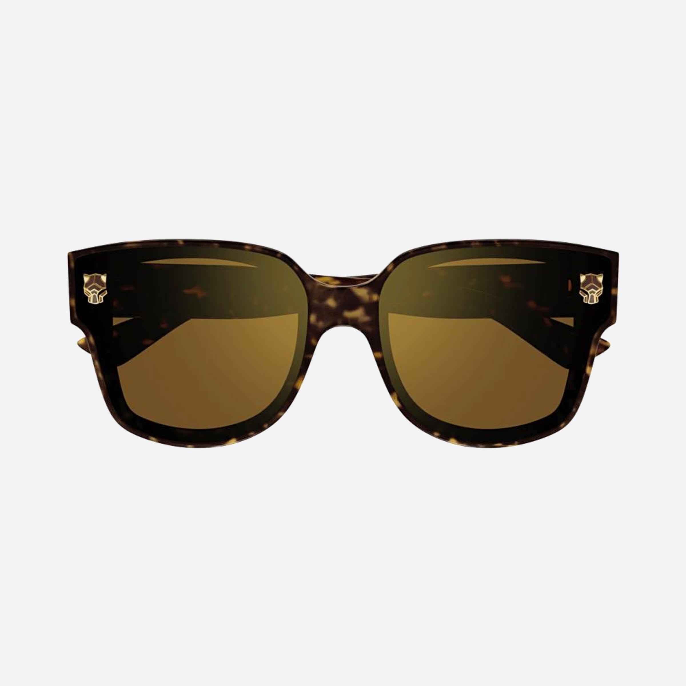 Cartier 63mm Havana Squared Women Sunglasses - Main View