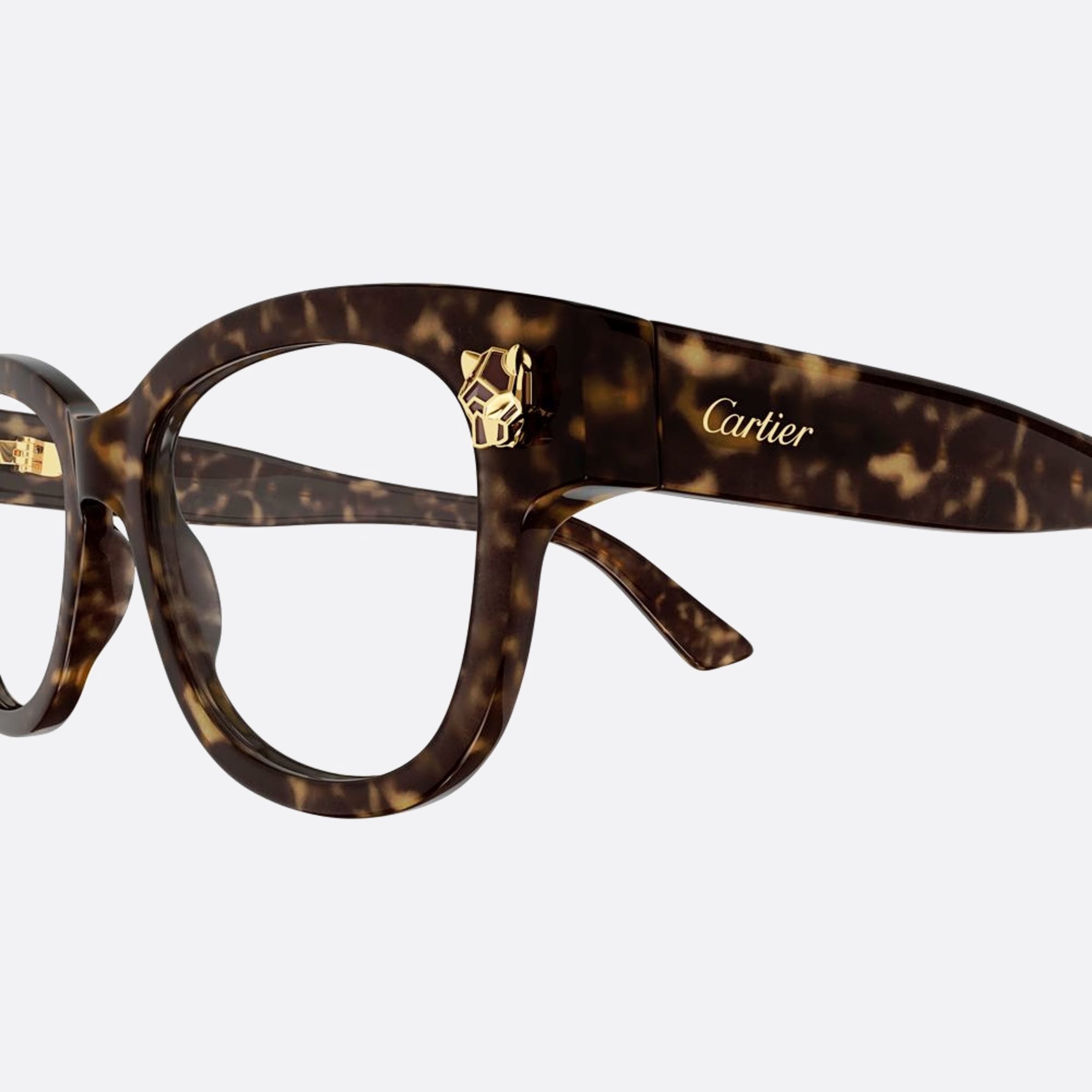 Cartier 51mm Havana Squared Women Eyeglasses - Detail View
