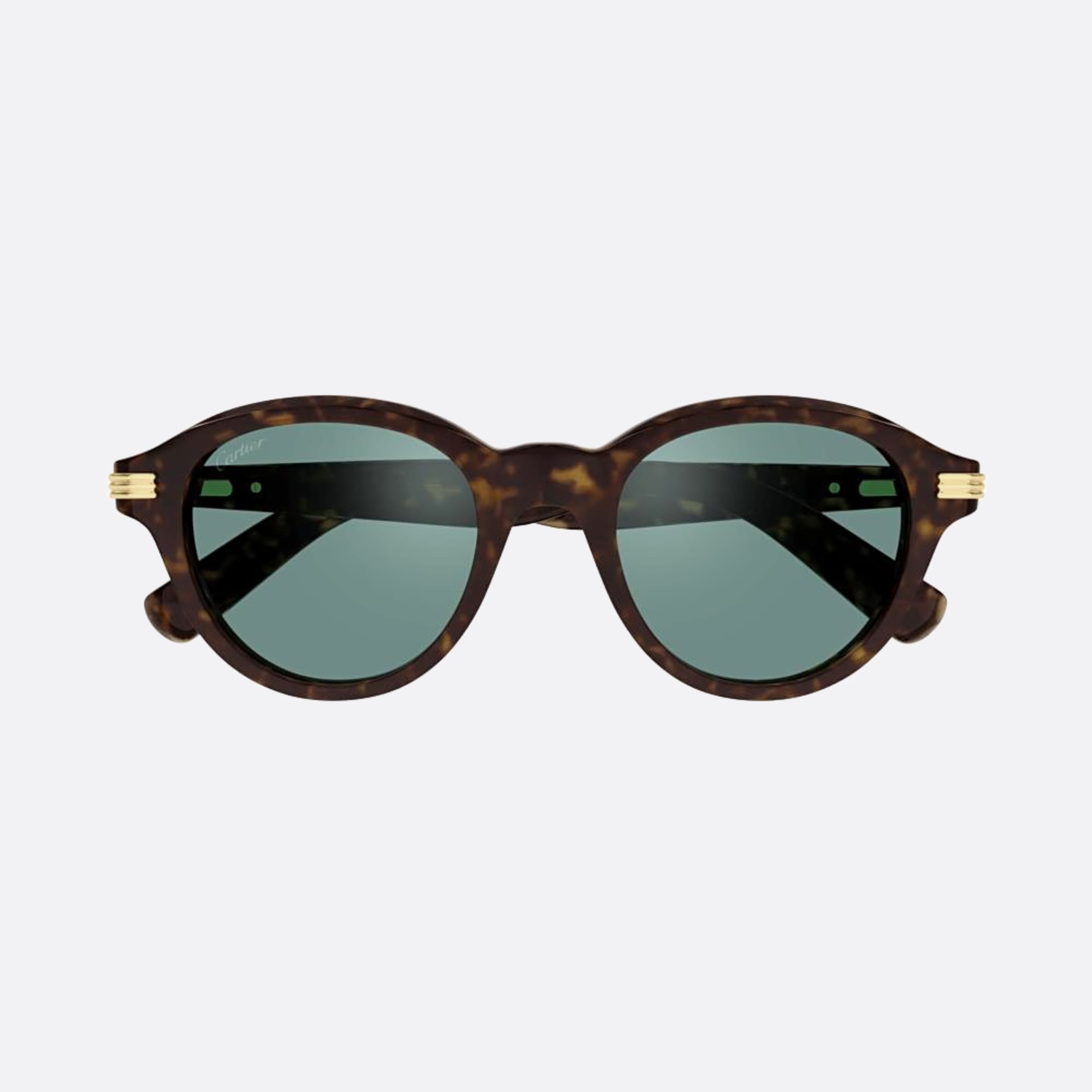 Cartier 51mm Havana Squared Men Sunglasses - Main View