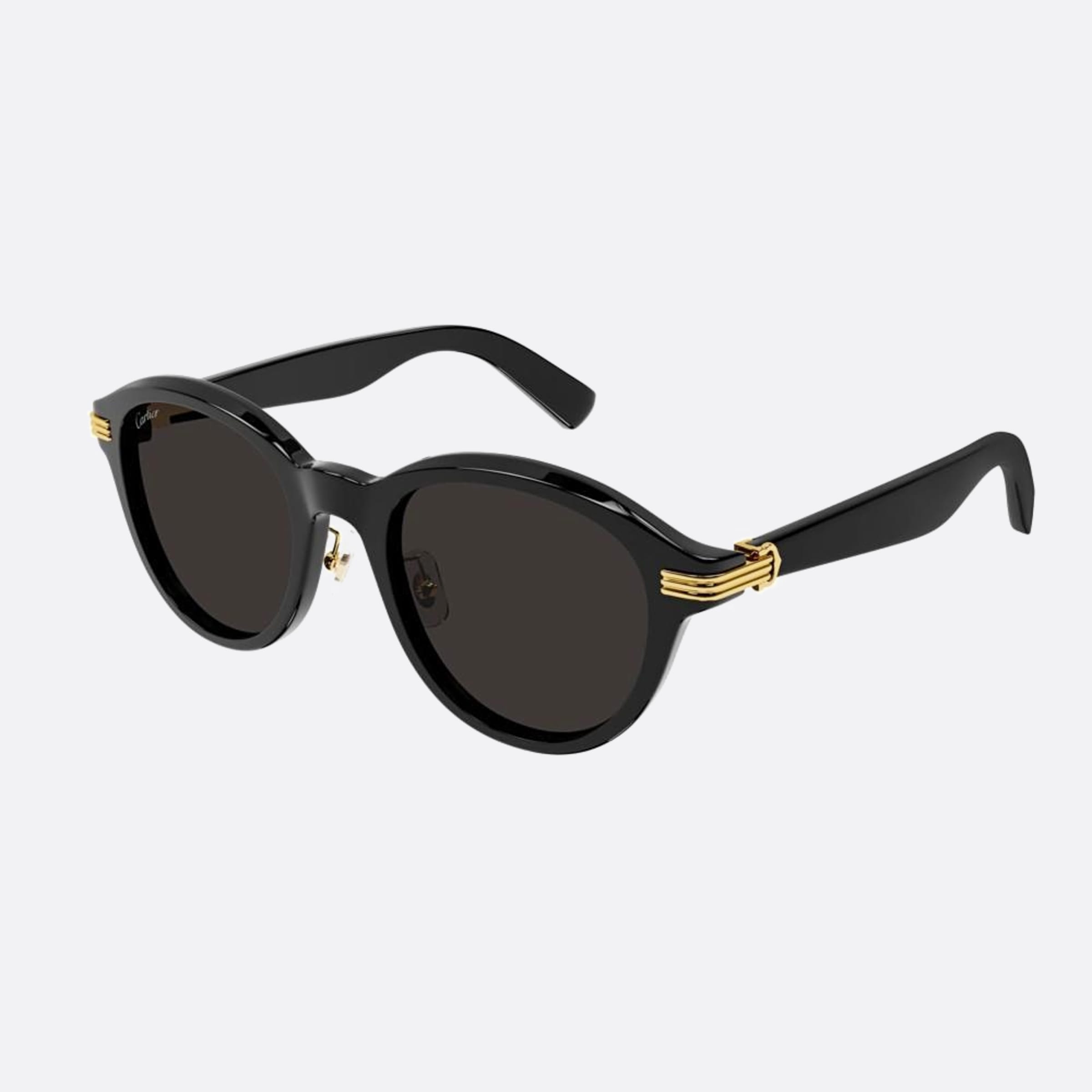Cartier 53mm Ct0395sa Black Round Men Sunglasses - Side View