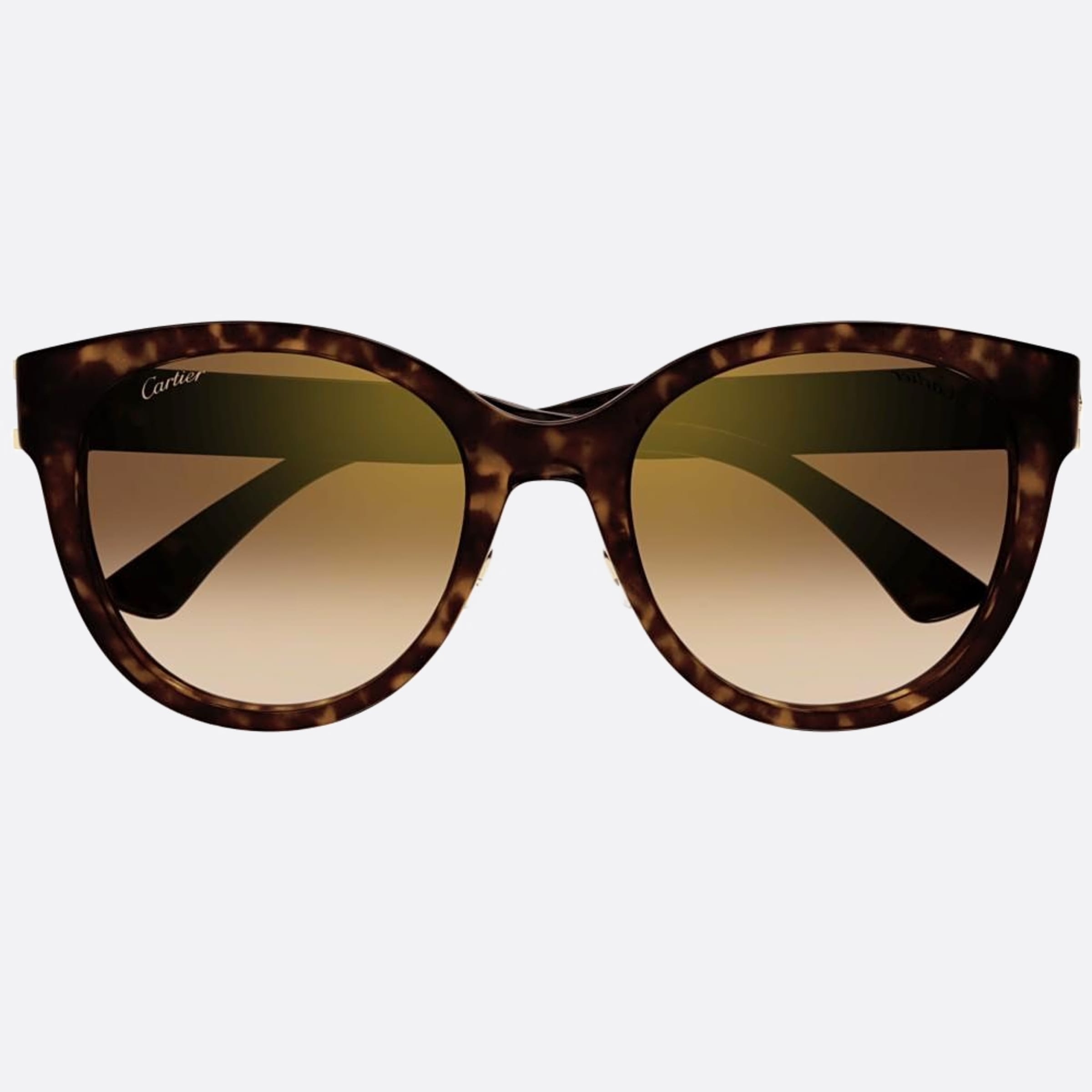 Cartier 56mm Ct0438sa Havana Cat Eye Women Sunglasses - Main View