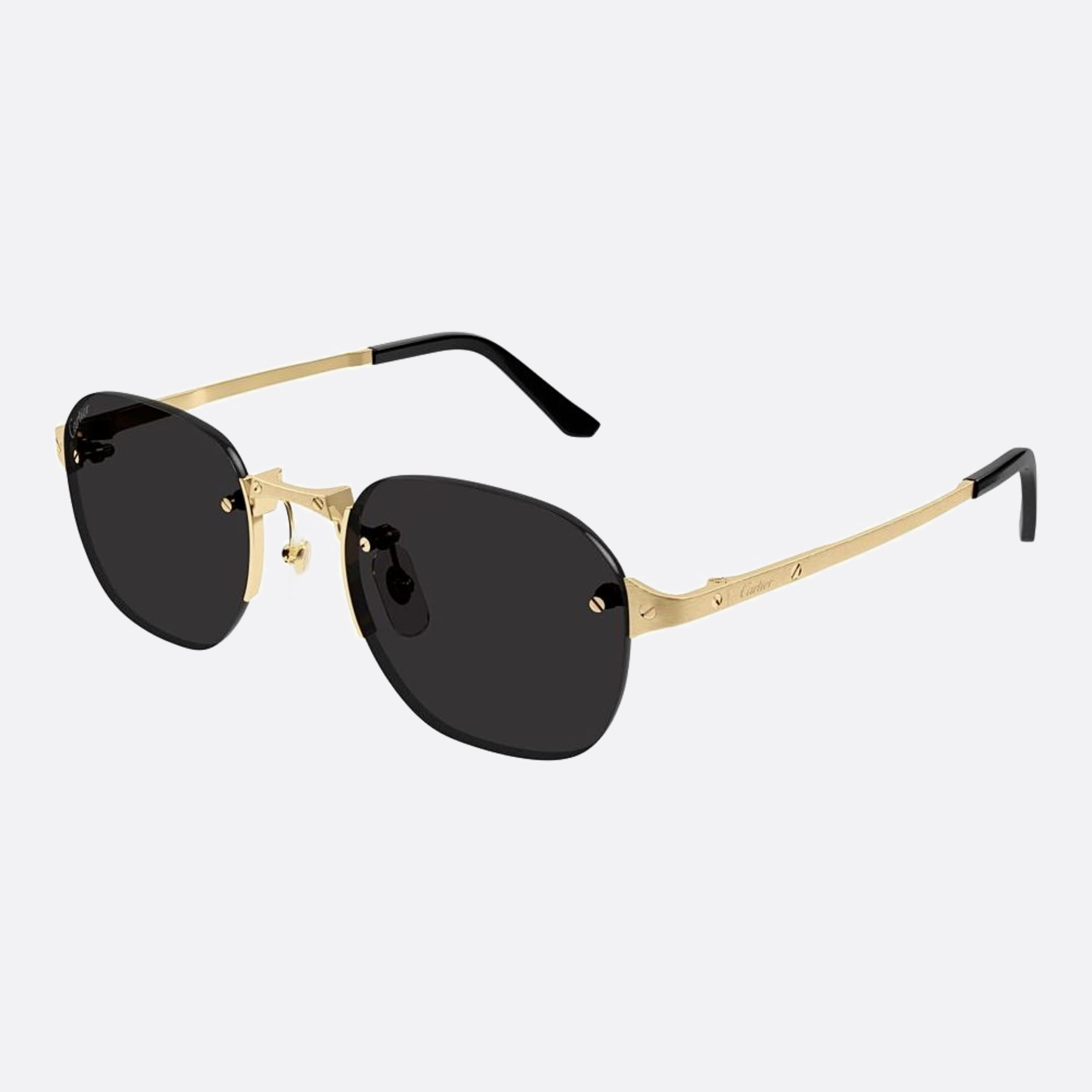 Cartier 53mm Black Geometric Men Sunglasses - Side View
