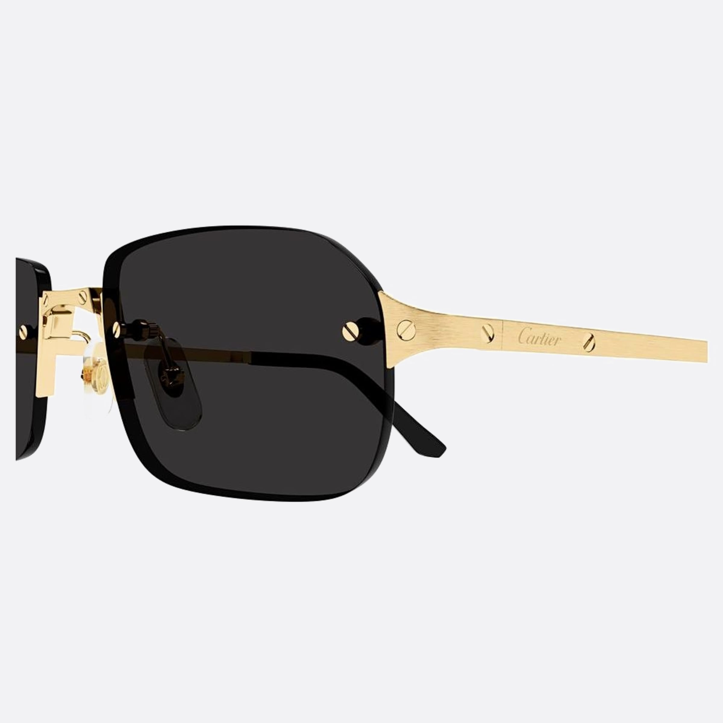 Cartier 56mm Gold Rectangle Men Sunglasses - Lifestyle Shot