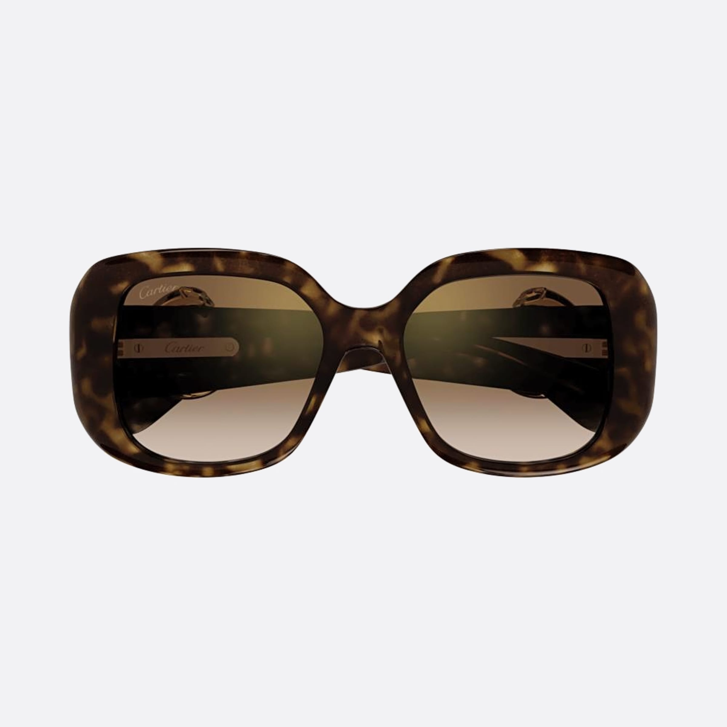 Cartier 54mm Ct0471sa Havana Oversize Women Sunglasses - Main View