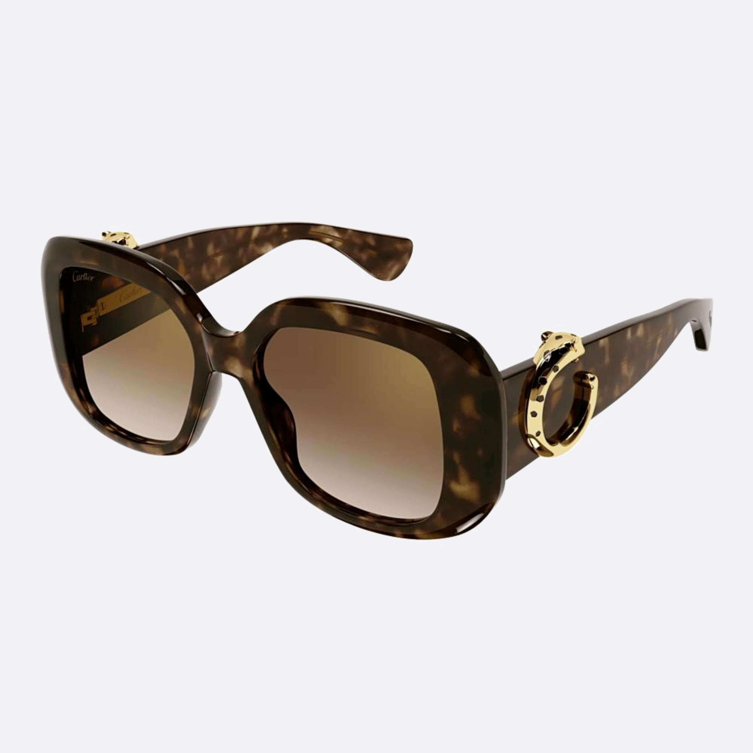 Cartier 54mm Ct0471sa Havana Oversize Women Sunglasses - Side View