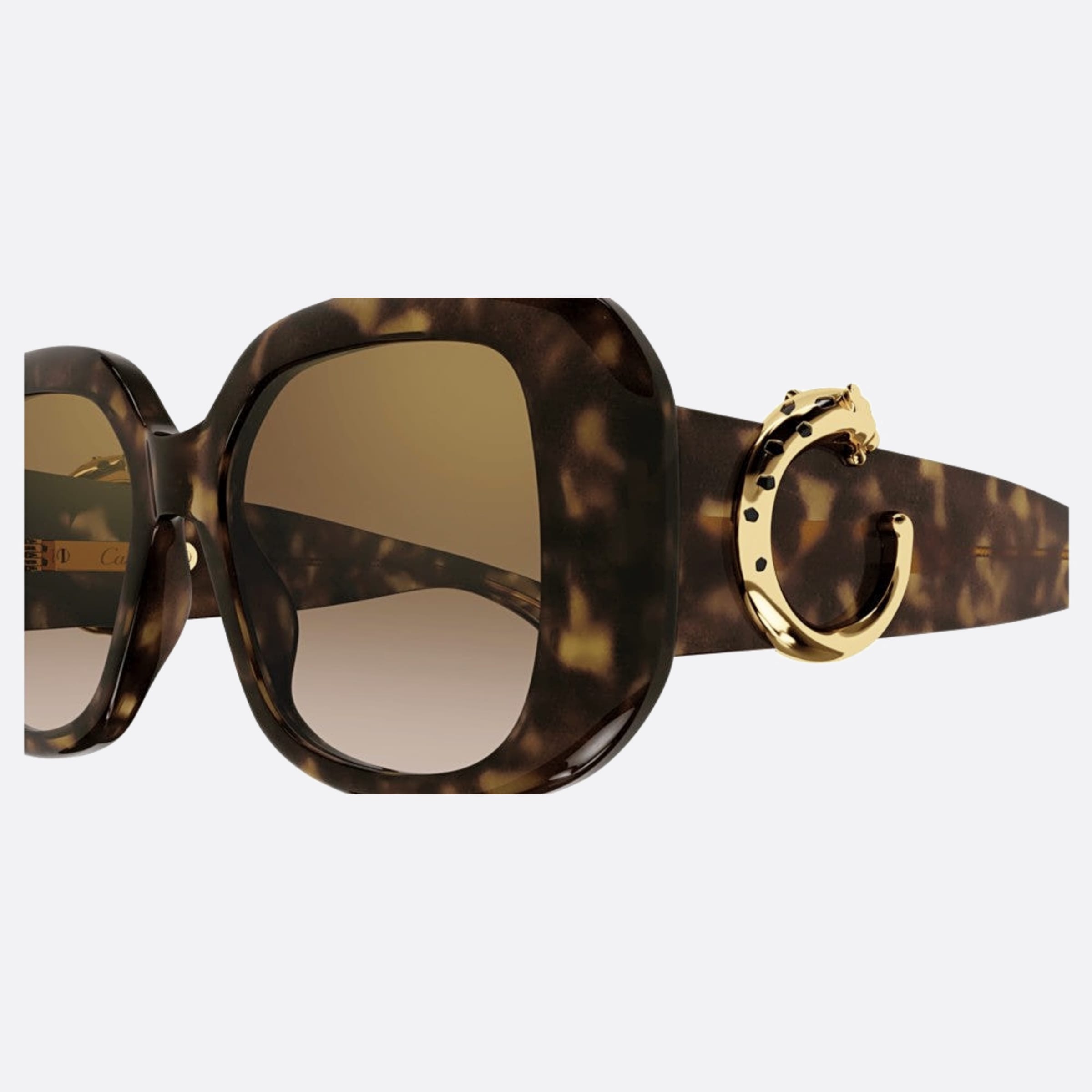 Cartier 54mm Ct0471sa Havana Oversize Women Sunglasses - Detail View