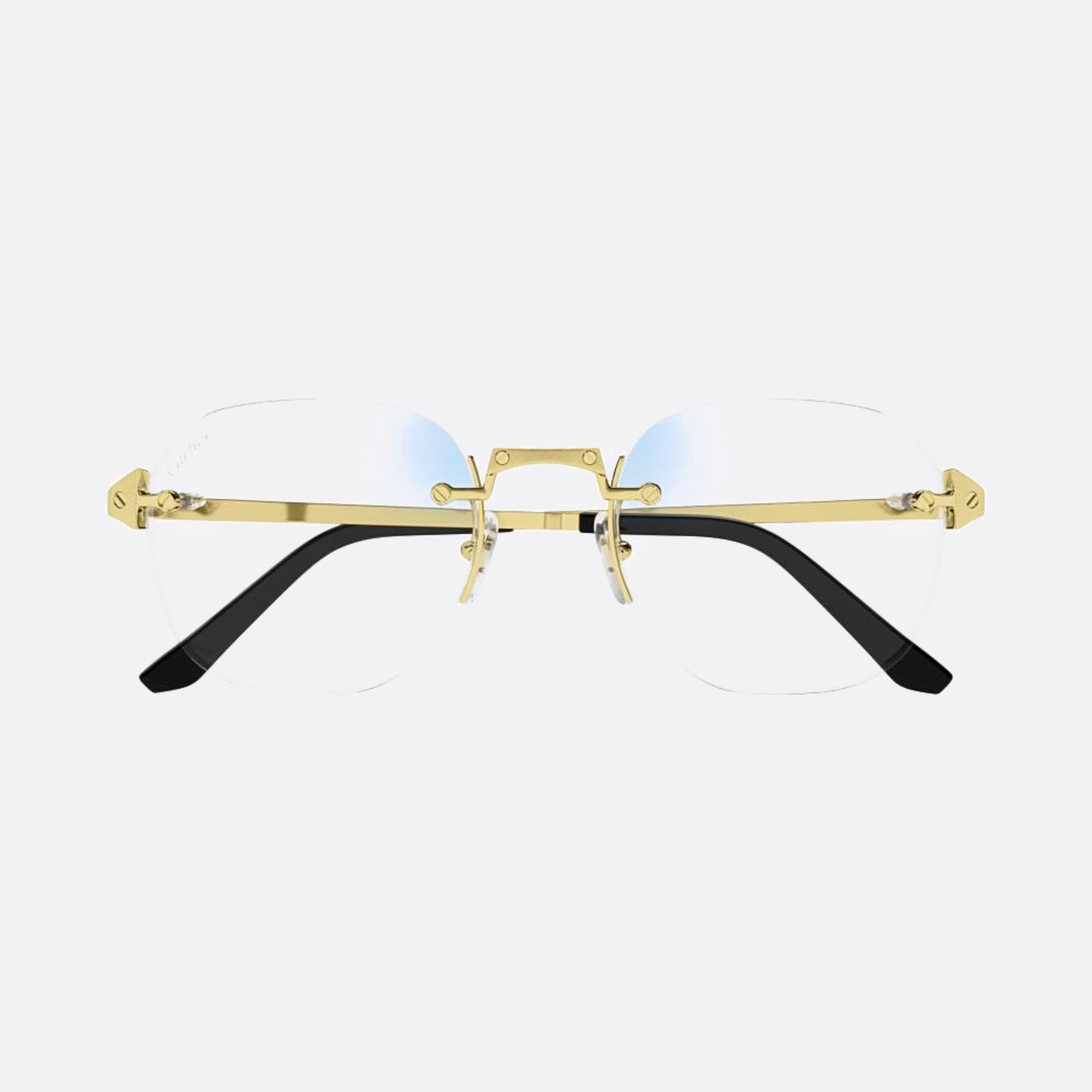 Cartier 53mm Gph Gold Pantos Photochromic Men Sunglasses - Main View