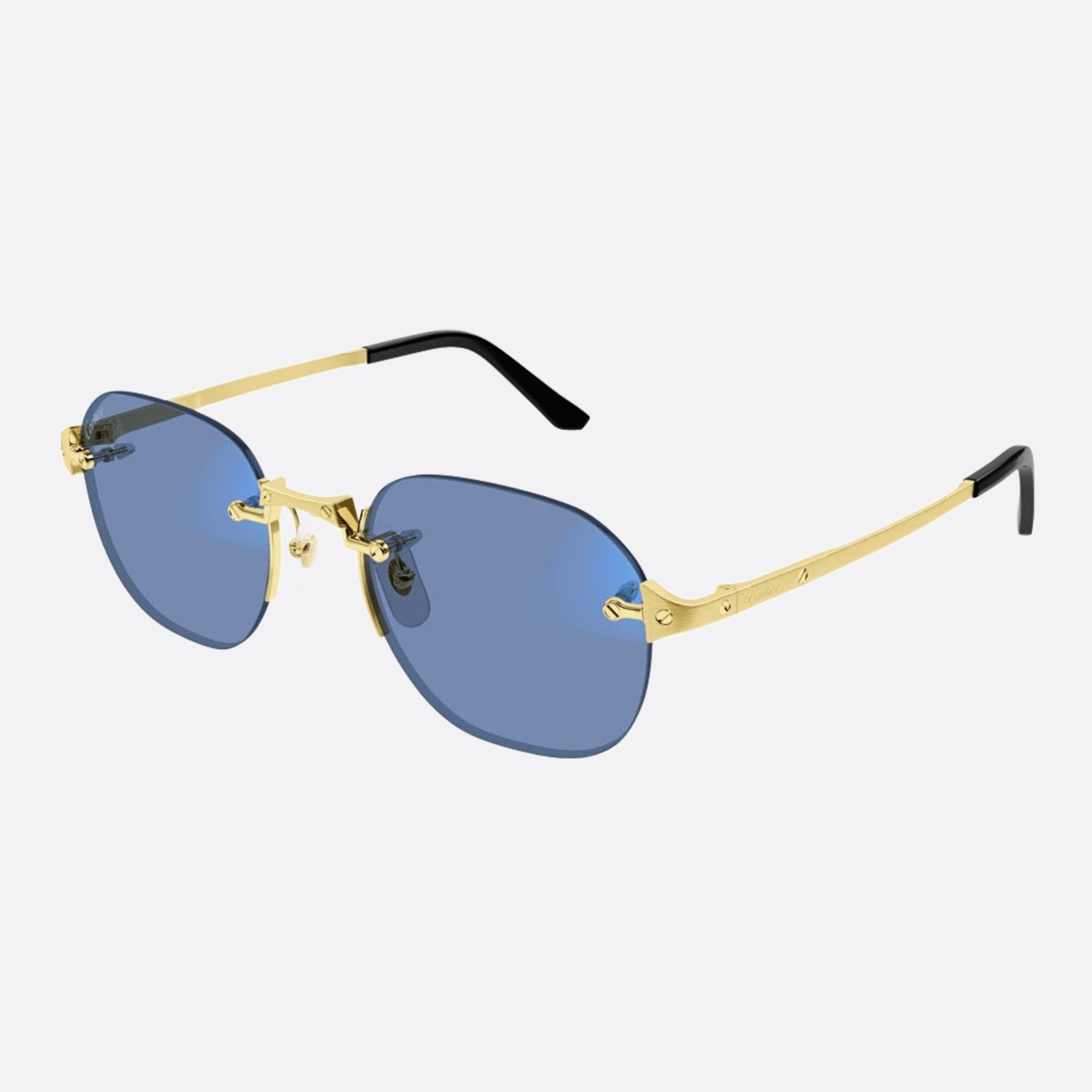 Cartier 53mm Gph Gold Pantos Photochromic Men Sunglasses - Lifestyle Shot