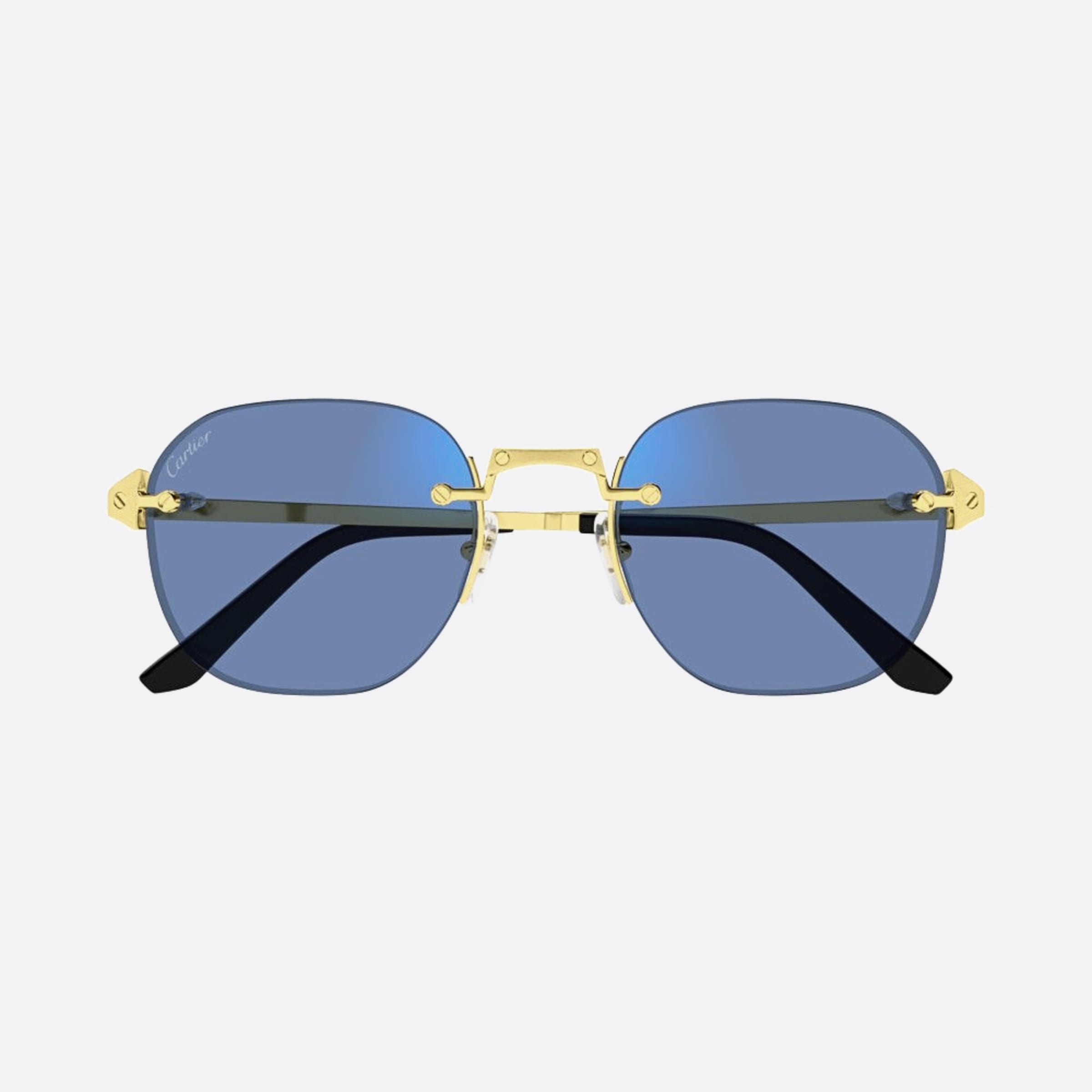 Cartier 53mm Gph Gold Pantos Photochromic Men Sunglasses - Additional Angle