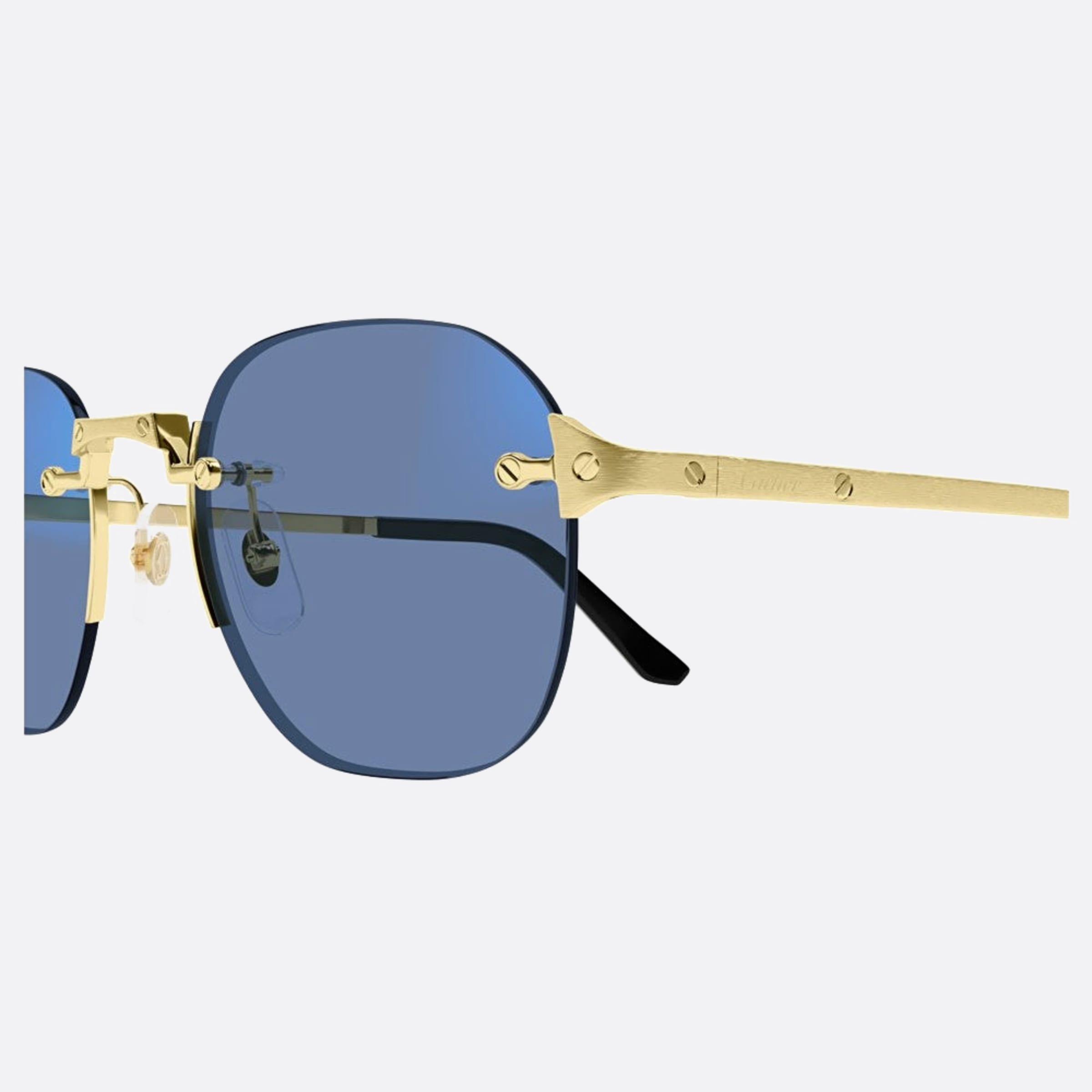 Cartier 53mm Gph Gold Pantos Photochromic Men Sunglasses - Additional Angle