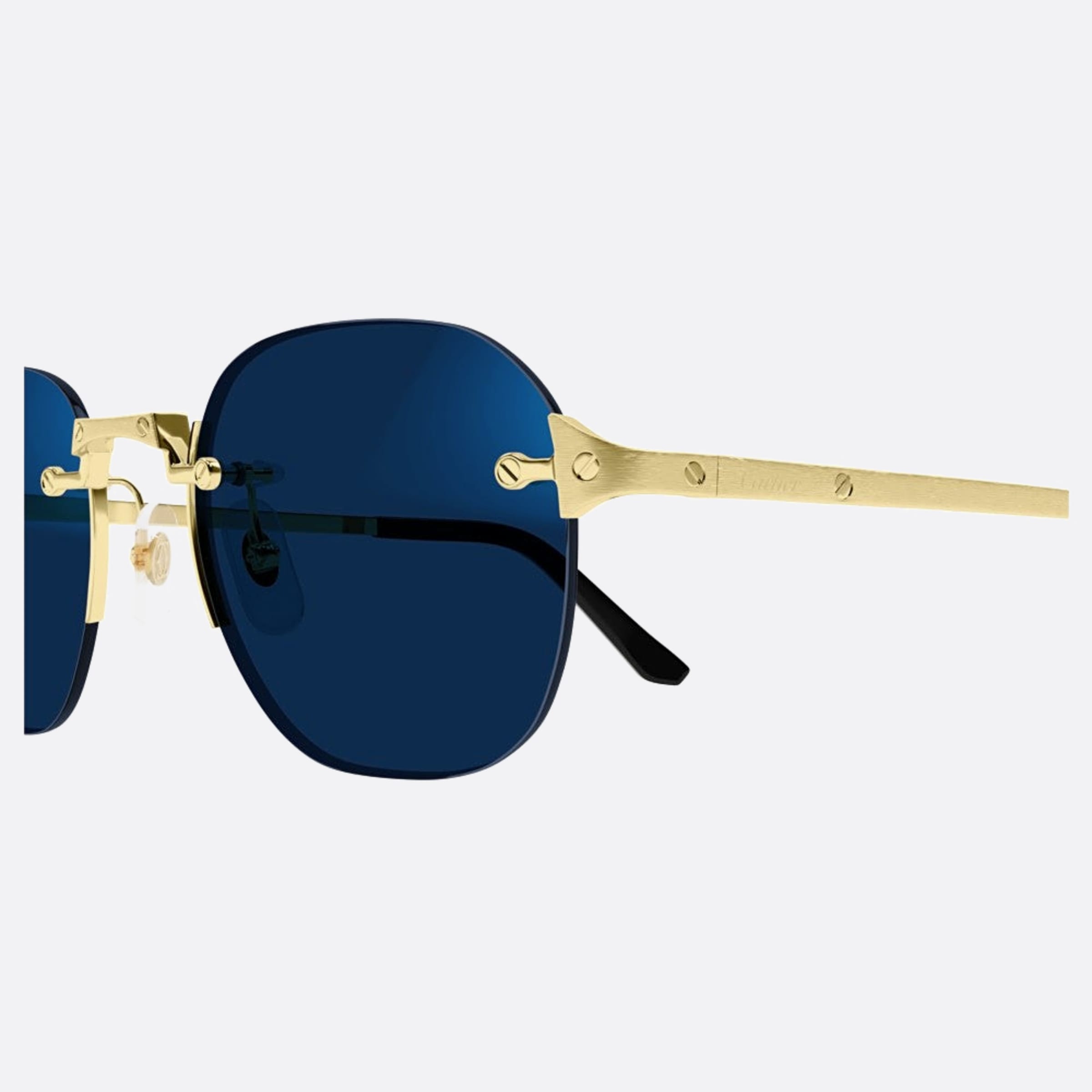 Cartier 53mm Gph Gold Pantos Photochromic Men Sunglasses - Additional Angle