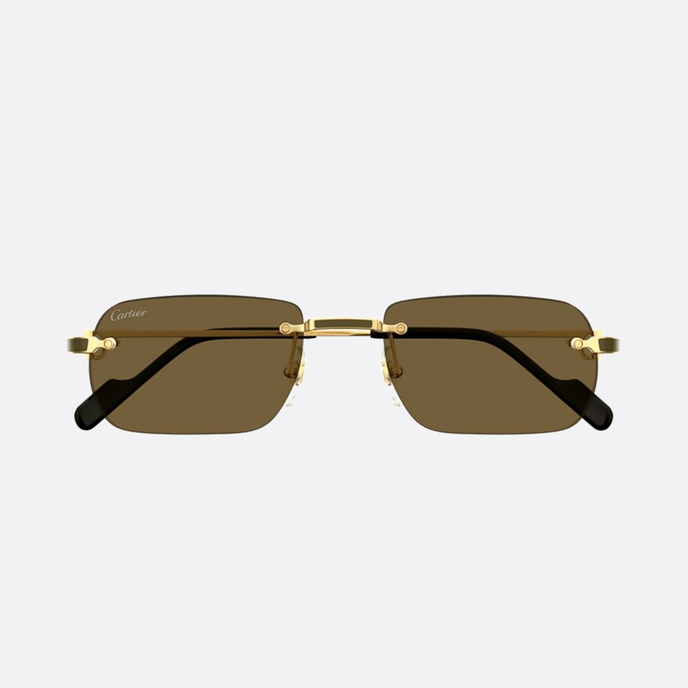 Cartier 55mm Gdbr Gold Rectangle Men Sunglasses - Main View