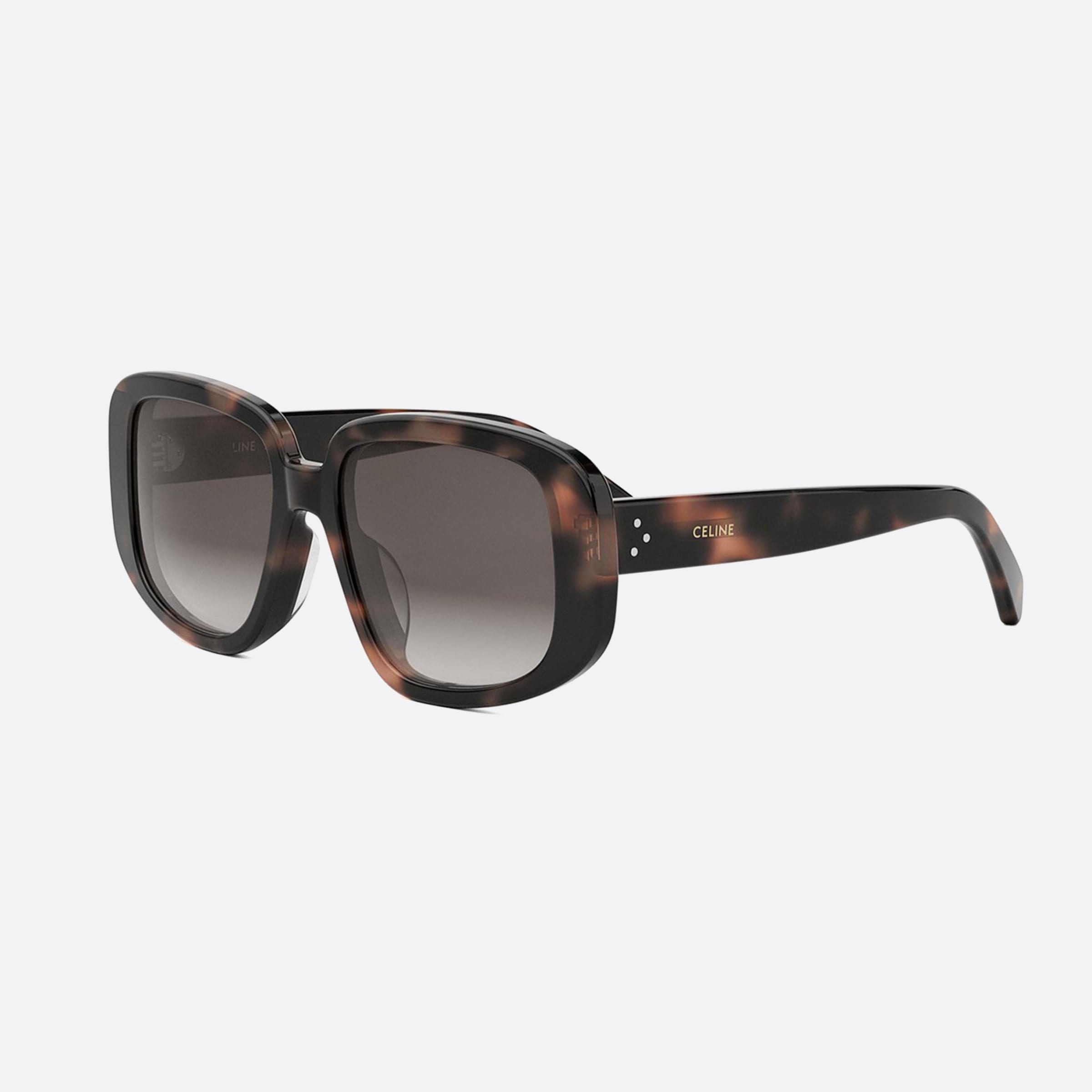 Celine 55mm Dots Cl40299u 55k Havana Geometric Women Sunglasses - Main View