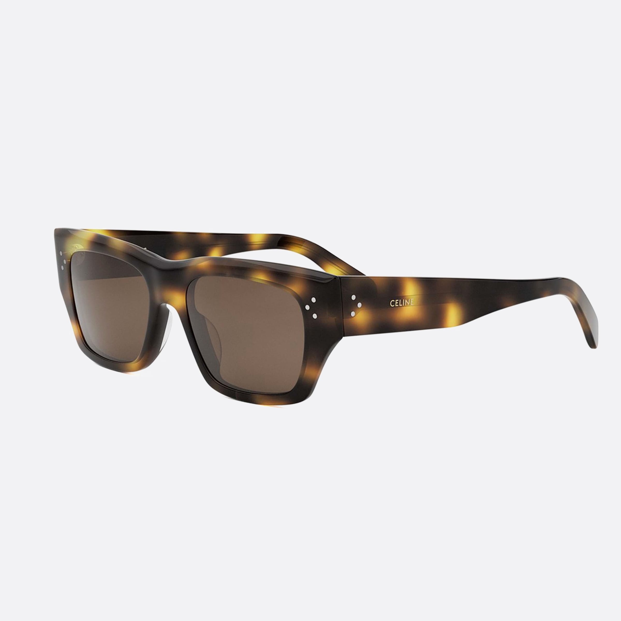 Celine 53mm Dots Cl40297u 53e Tortoise Polarized Men Sunglasses - Main View
