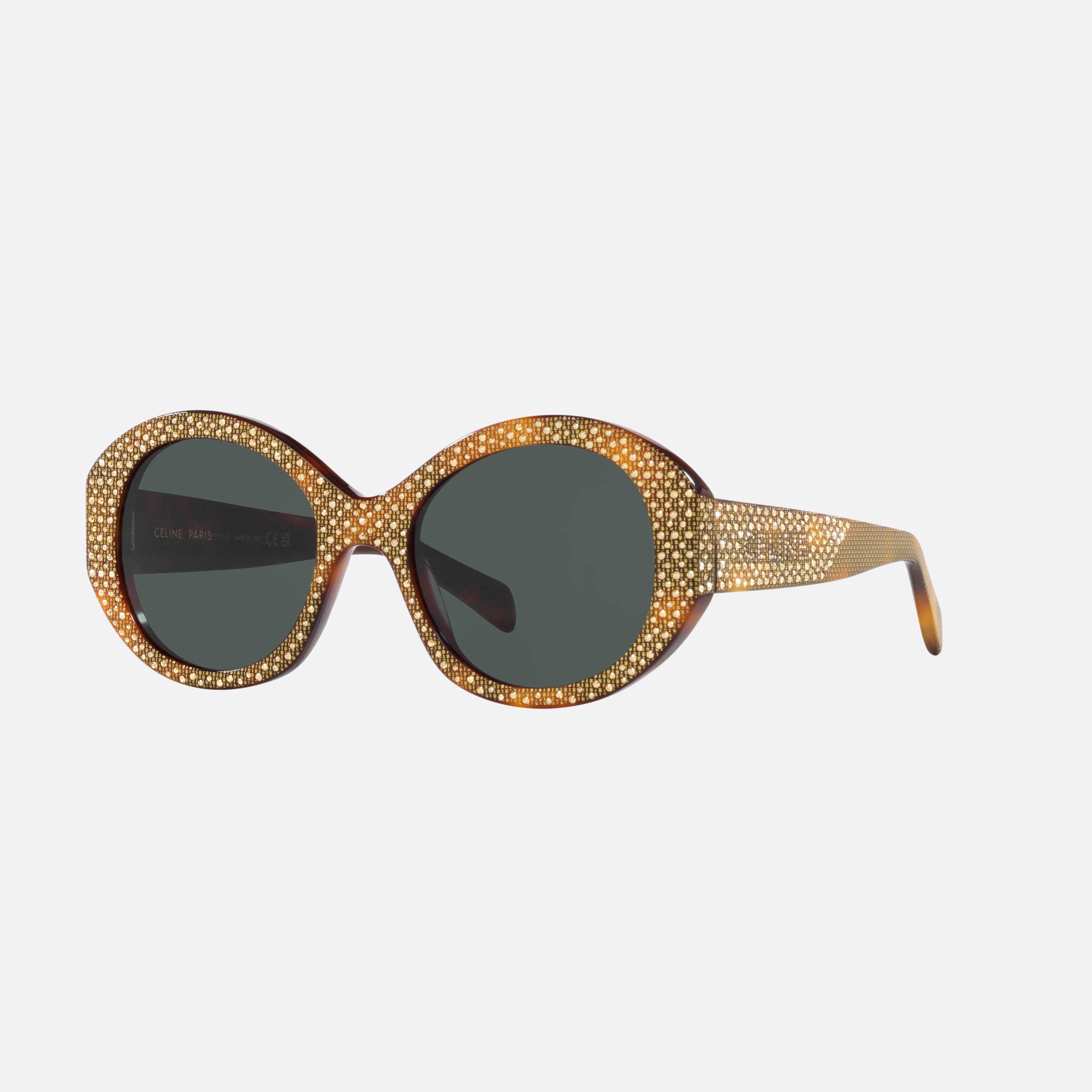 Celine 53mm Bold Dots Cl4240is Tortoise Round Women Sunglasses - Main View
